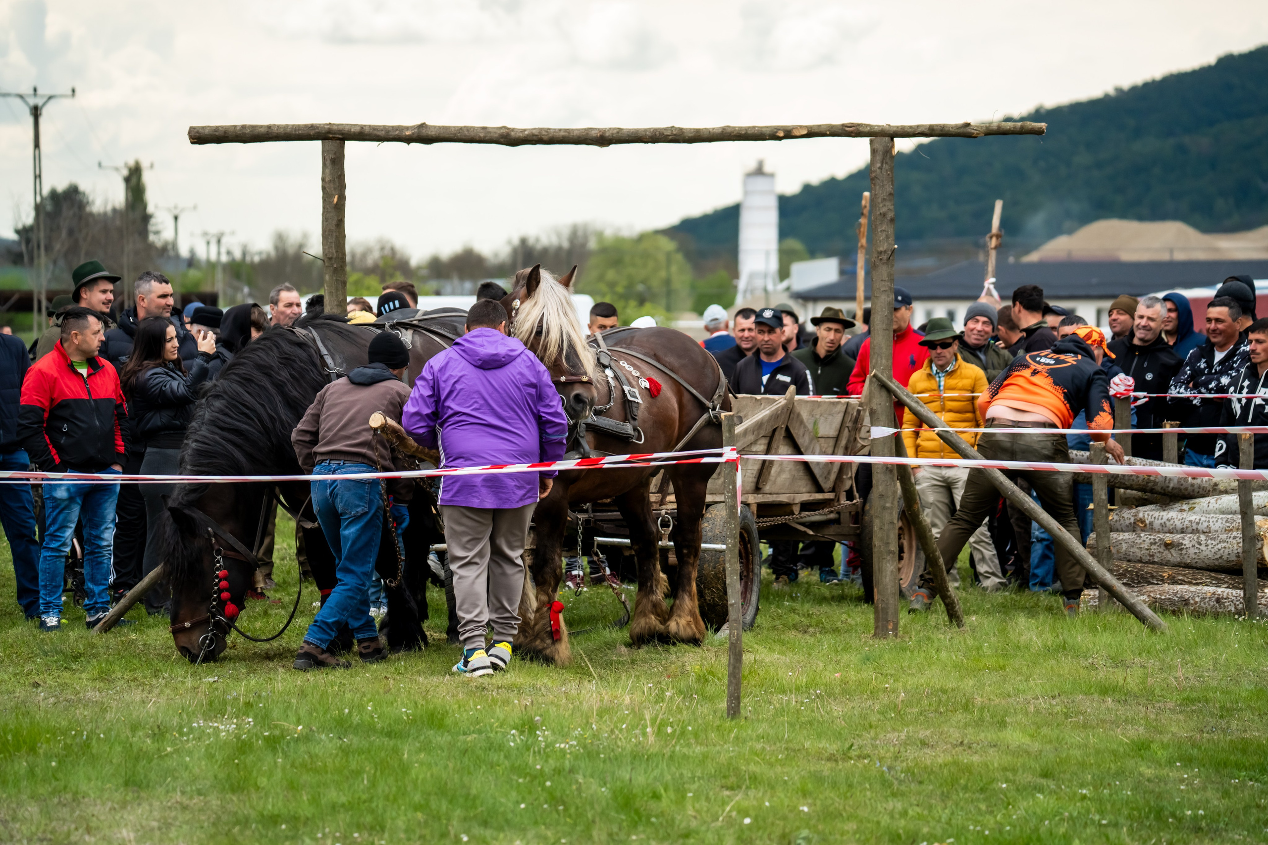 Concurs Ecvestru Vărbilău ediția a 4-a. Mihai Alexandra Events