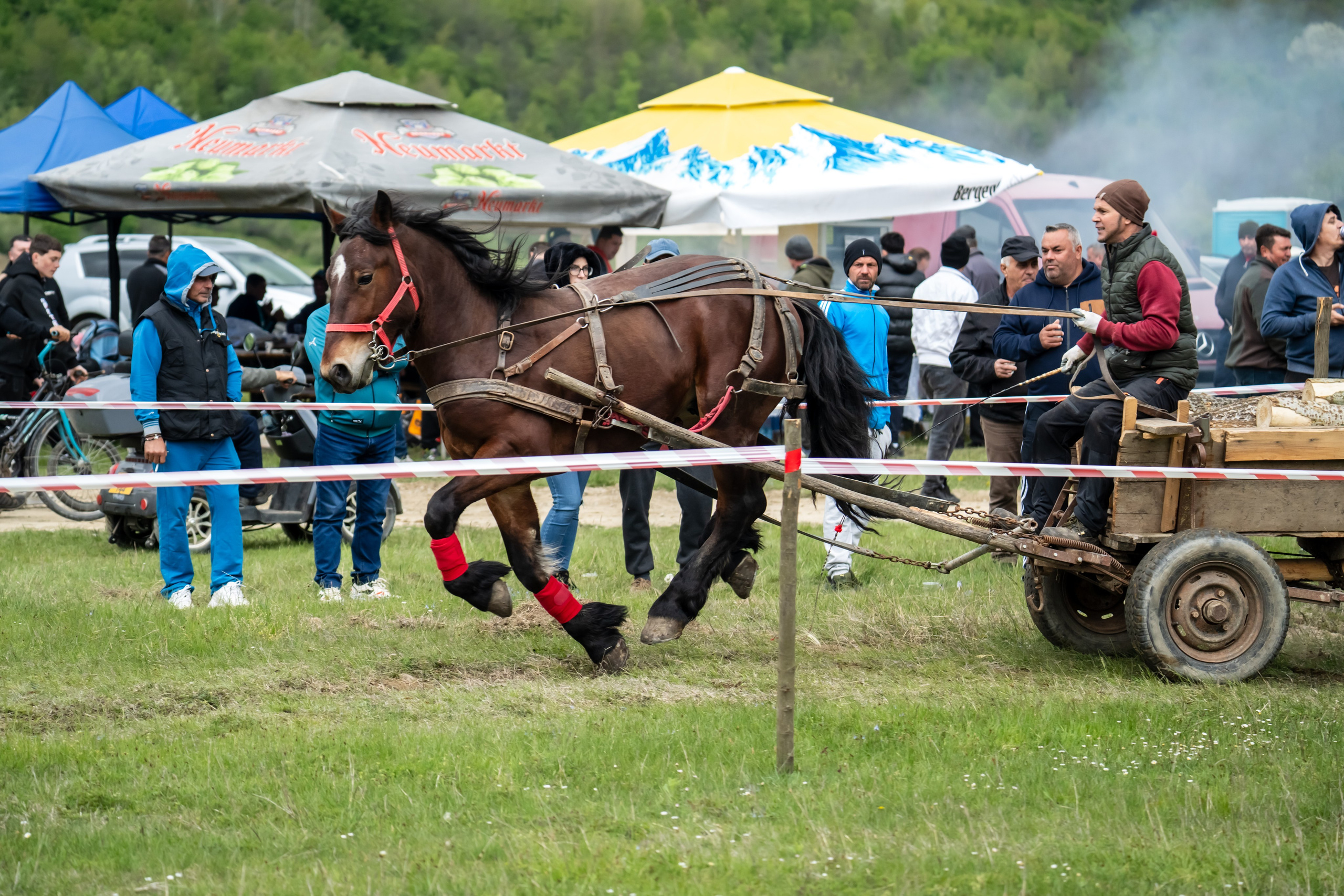 Concurs Ecvestru Vărbilău ediția a 4-a. Mihai Alexandra Events