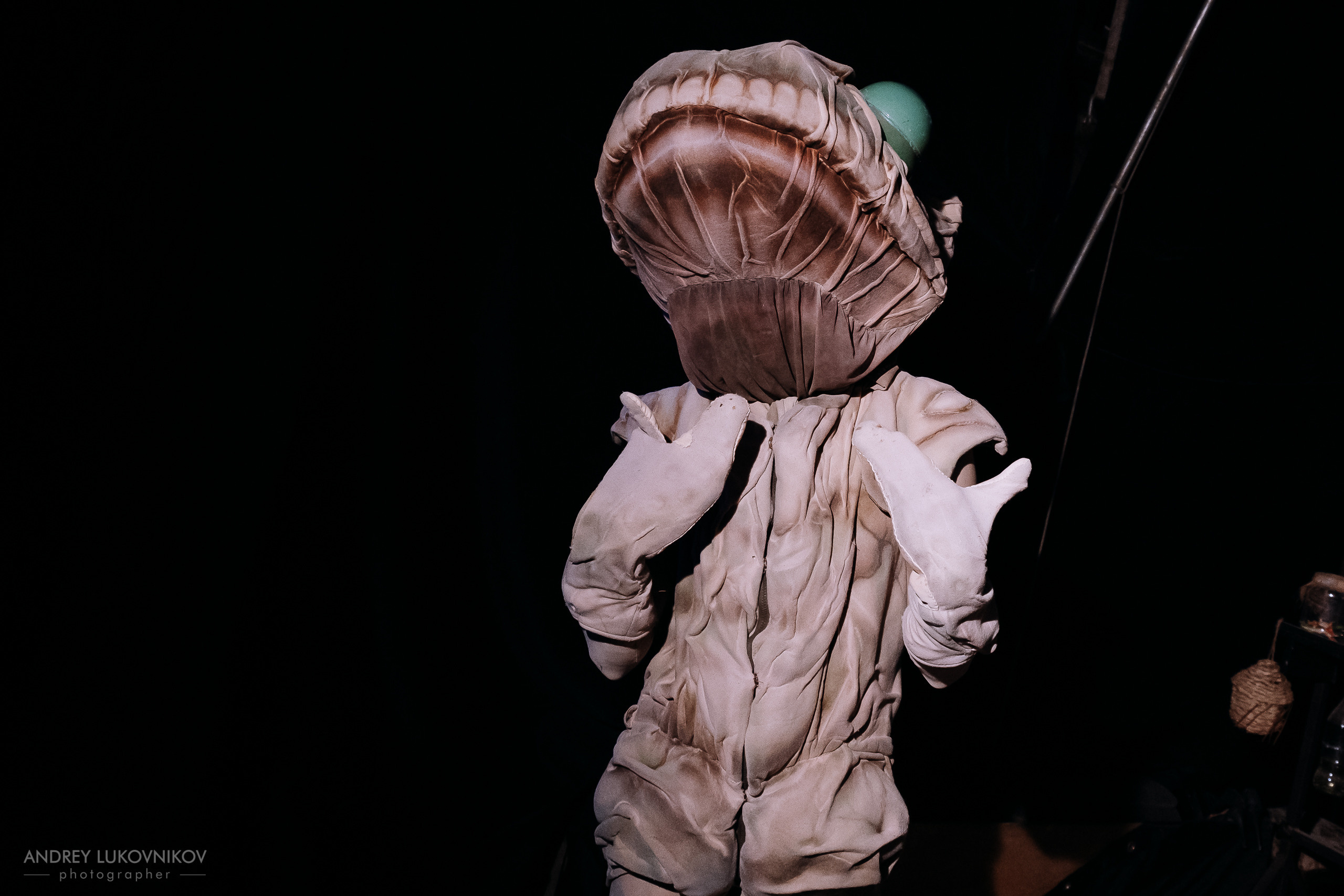 Backstage | Lara, Jenifer & Roberto | El Circo Encantado