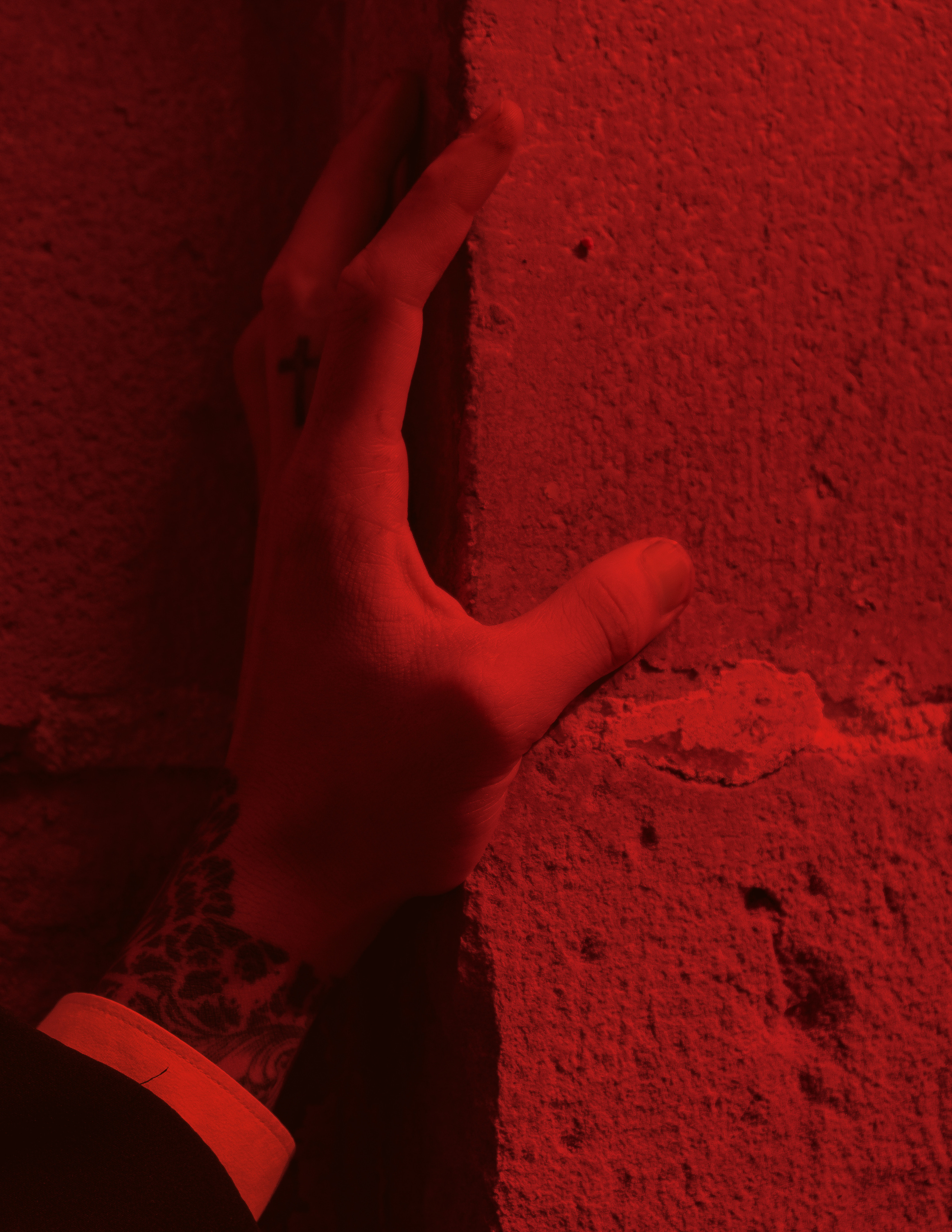 Schon Nuñez Rossi | El Circo Encantado