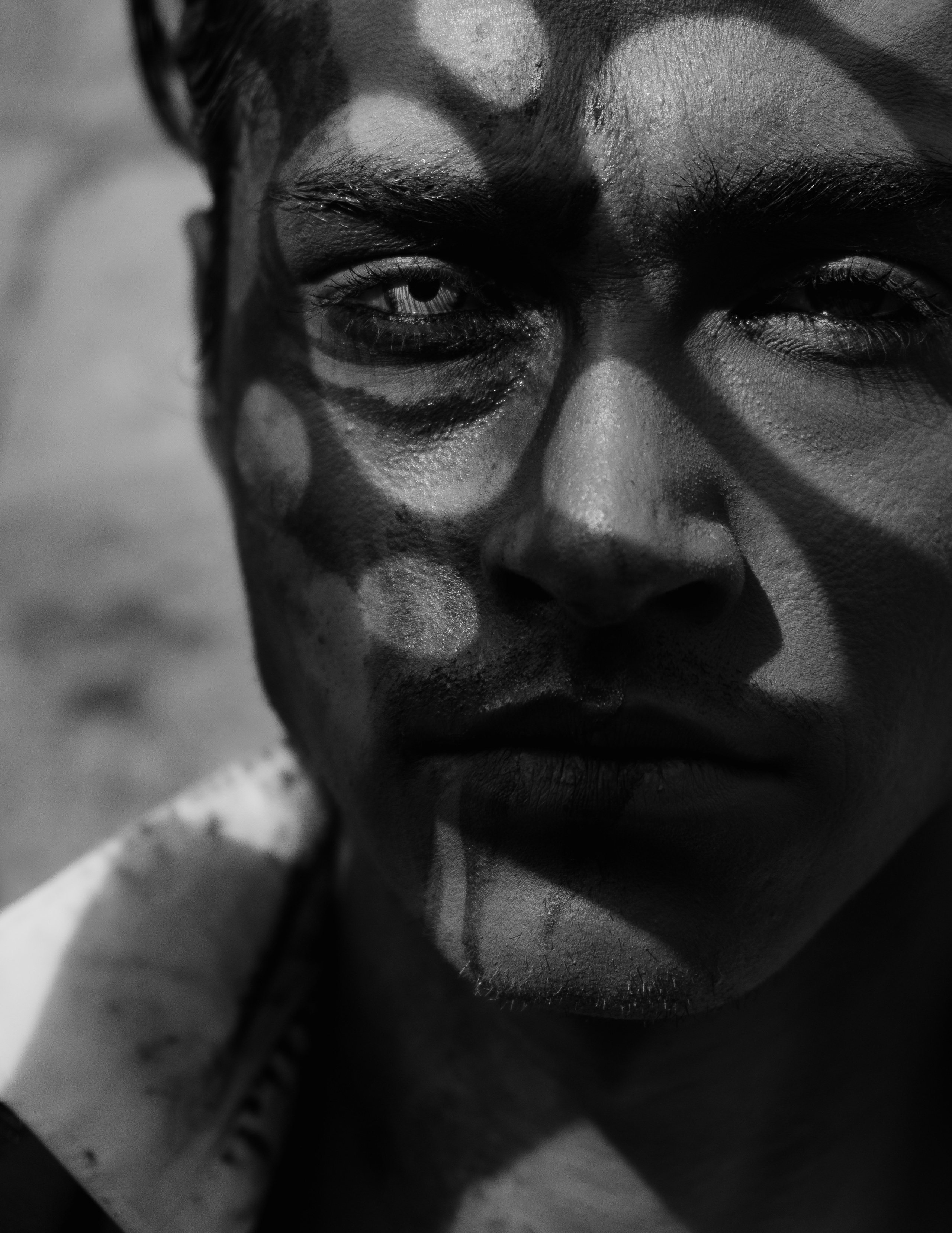 Schon Nuñez Rossi | El Circo Encantado