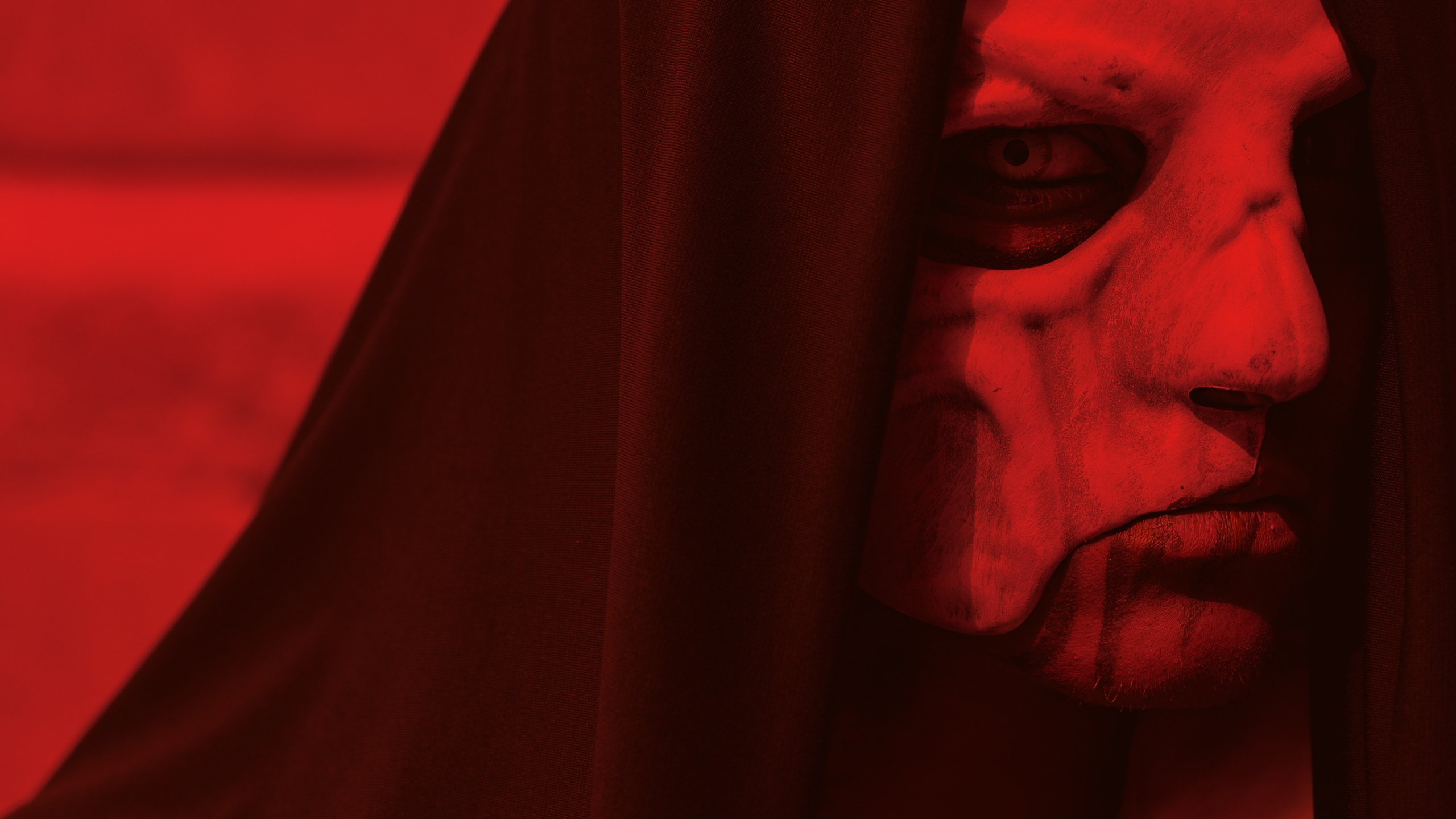 Schon Nuñez Rossi | El Circo Encantado