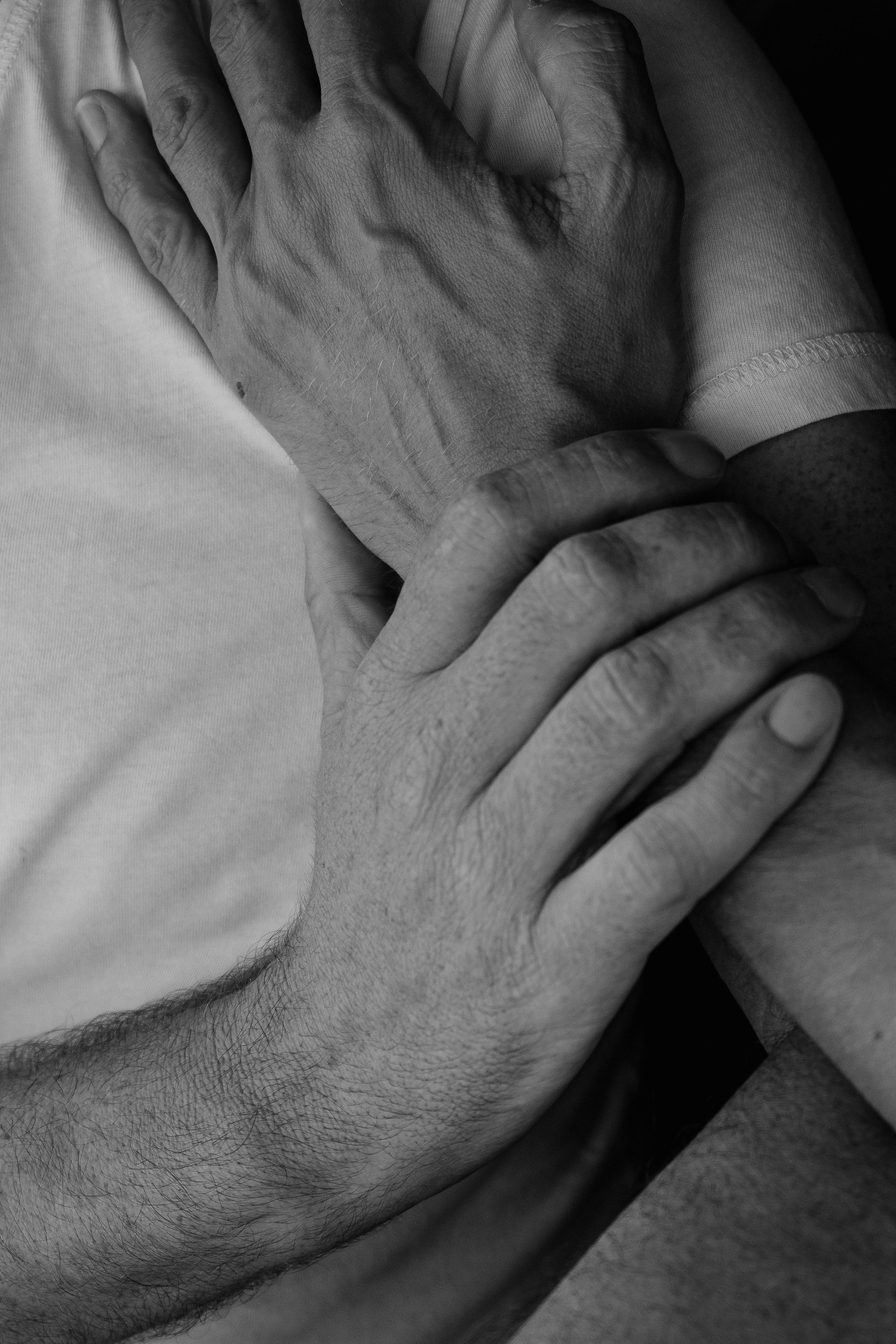 Pau Sarraute & Pere Vilarrubla | El Circo Encantado