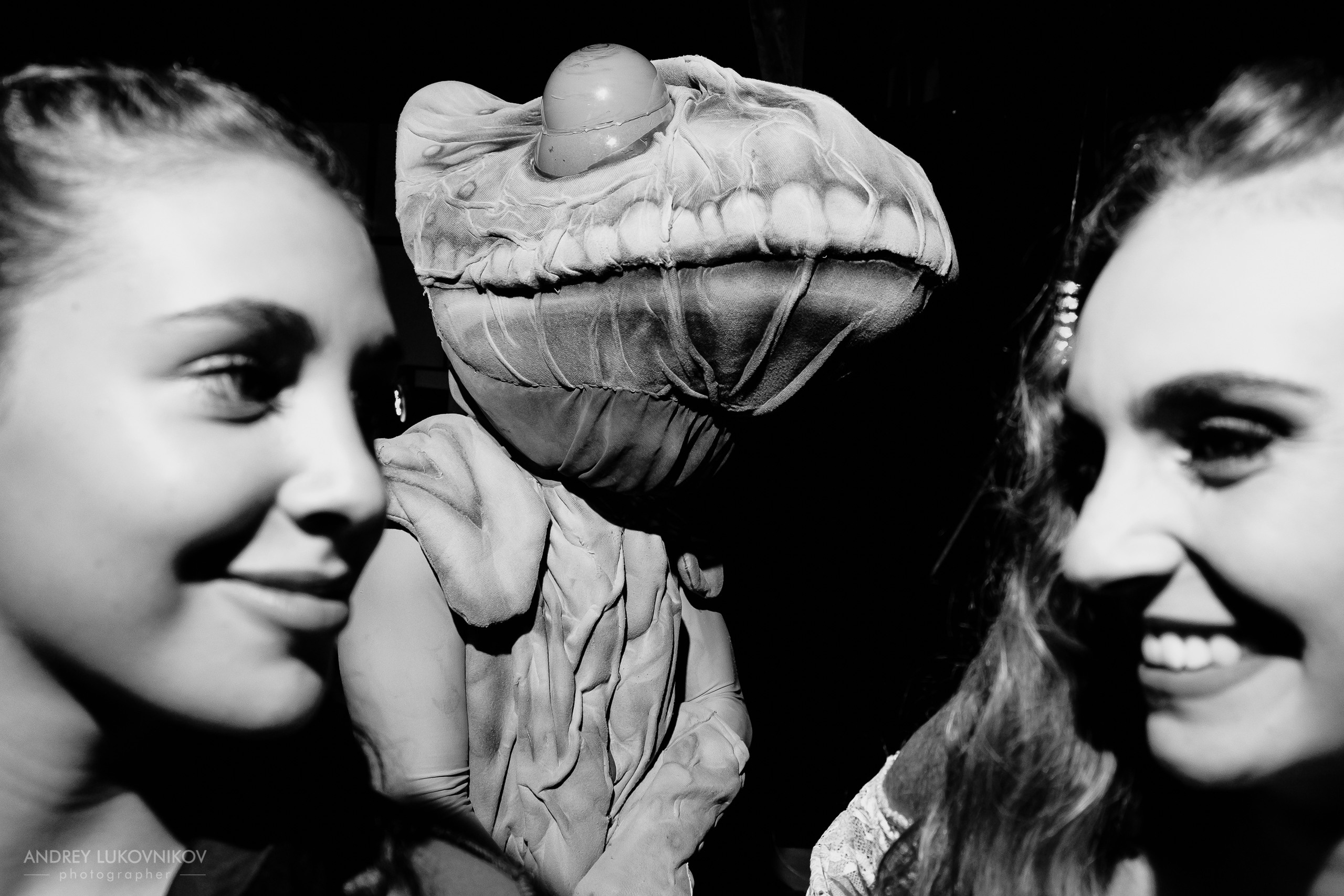 BTS: El Circo Encantado