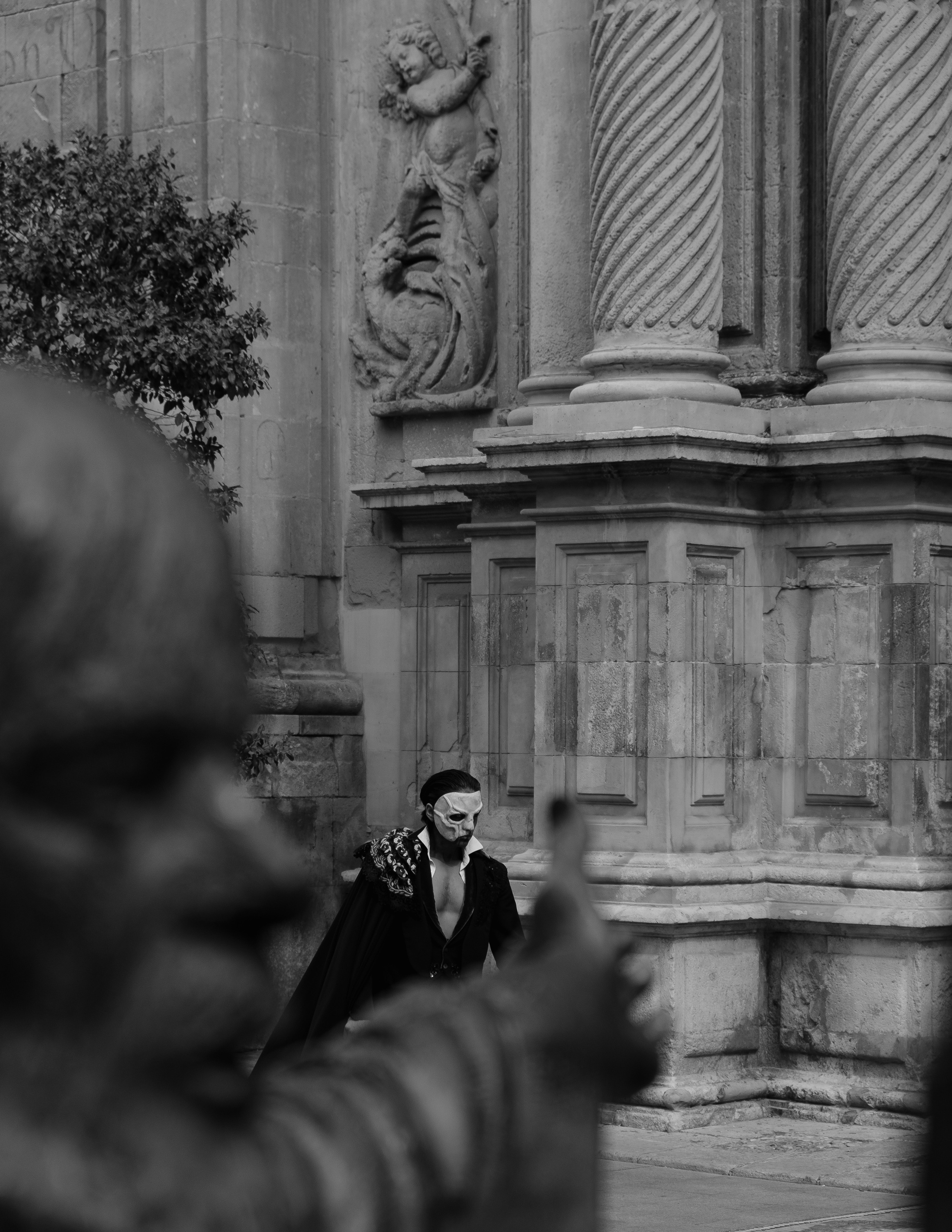 Schon Nuñez Rossi | El Circo Encantado