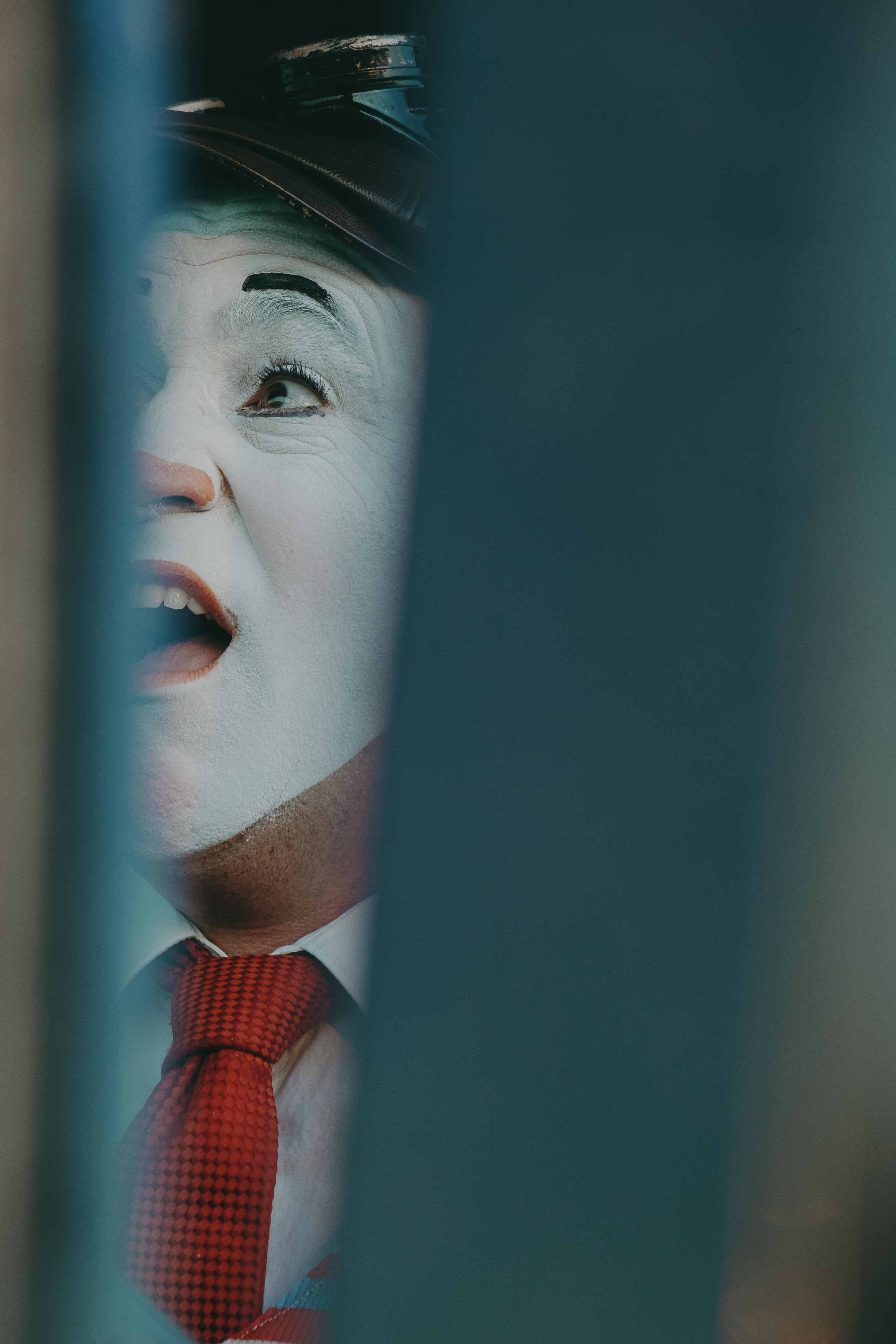 Pau Sarraute. El Circo Encantado