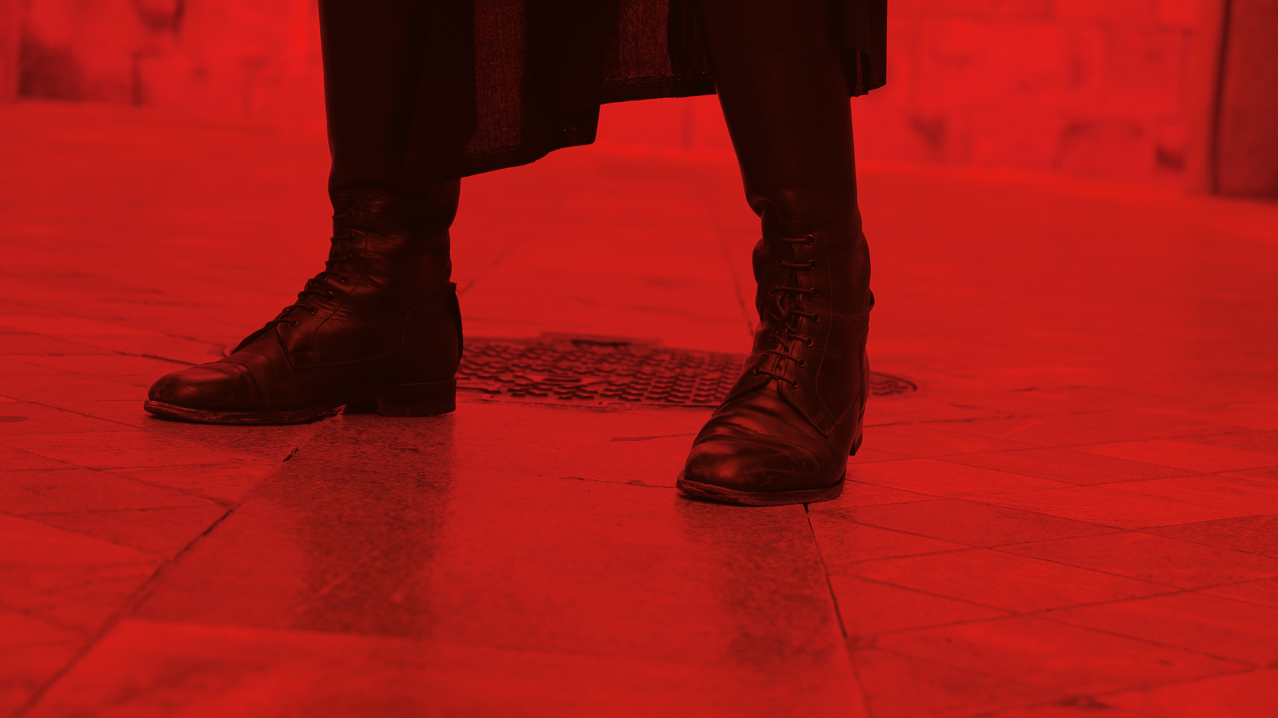 Schon Nuñez Rossi | El Circo Encantado