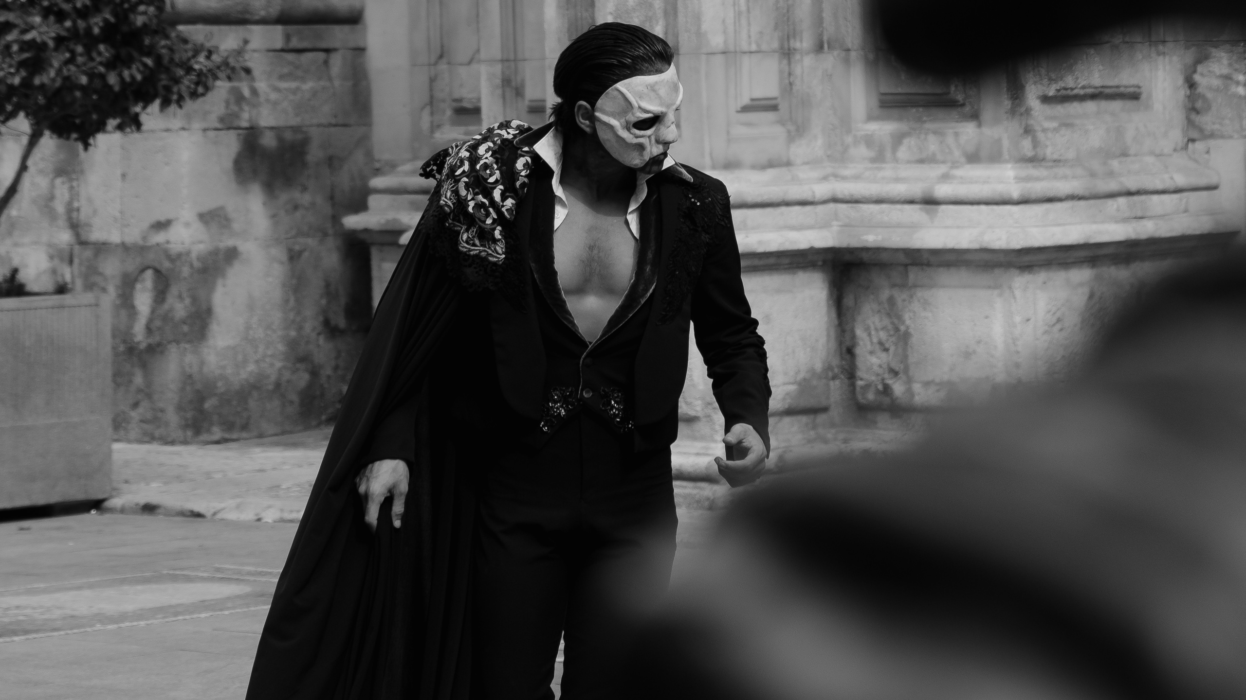 Schon Nuñez Rossi | El Circo Encantado