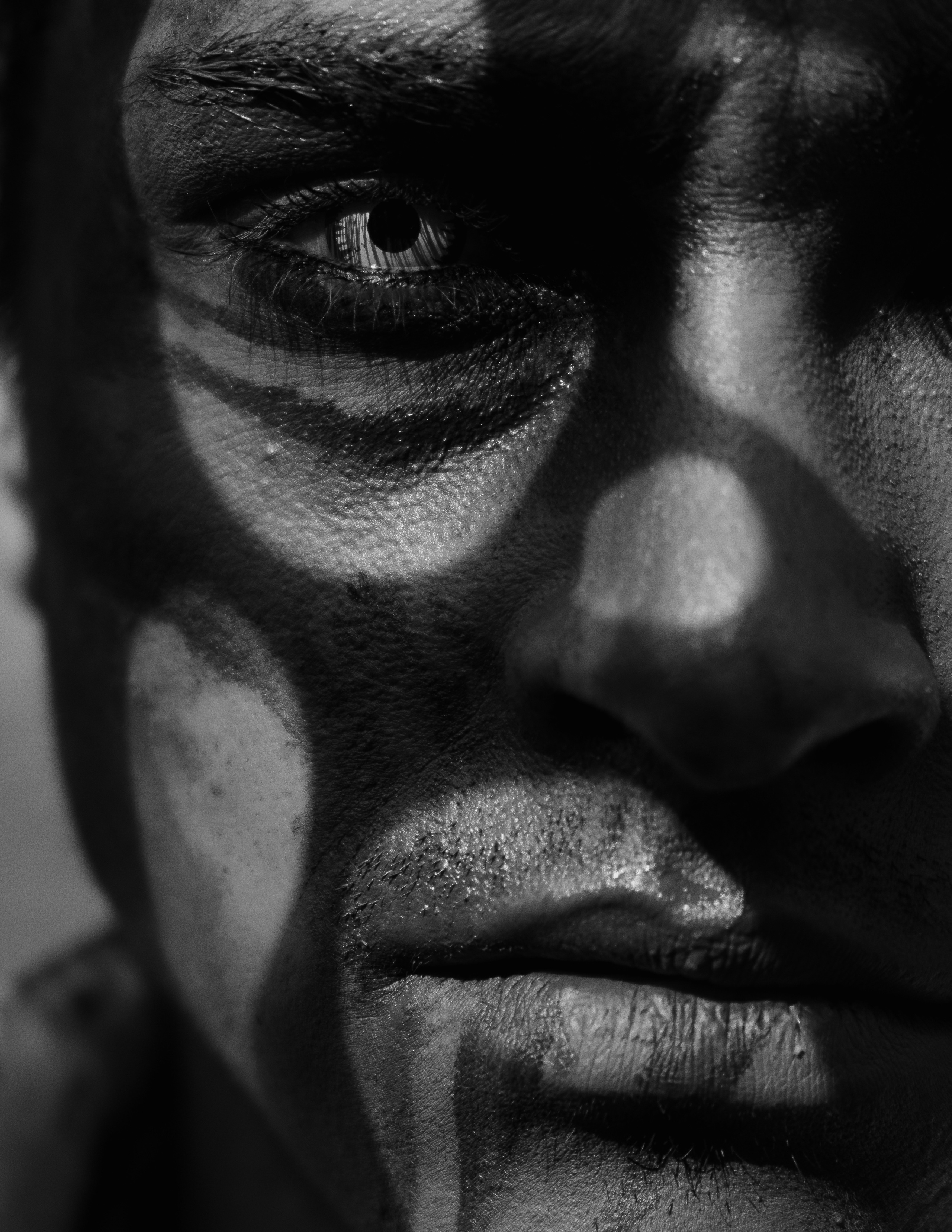 Schon Nuñez Rossi | El Circo Encantado