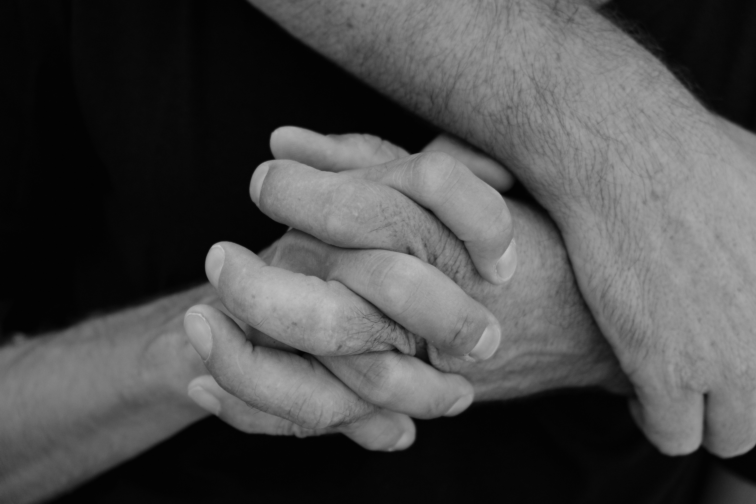 Pau Sarraute & Pere Vilarrubla | El Circo Encantado