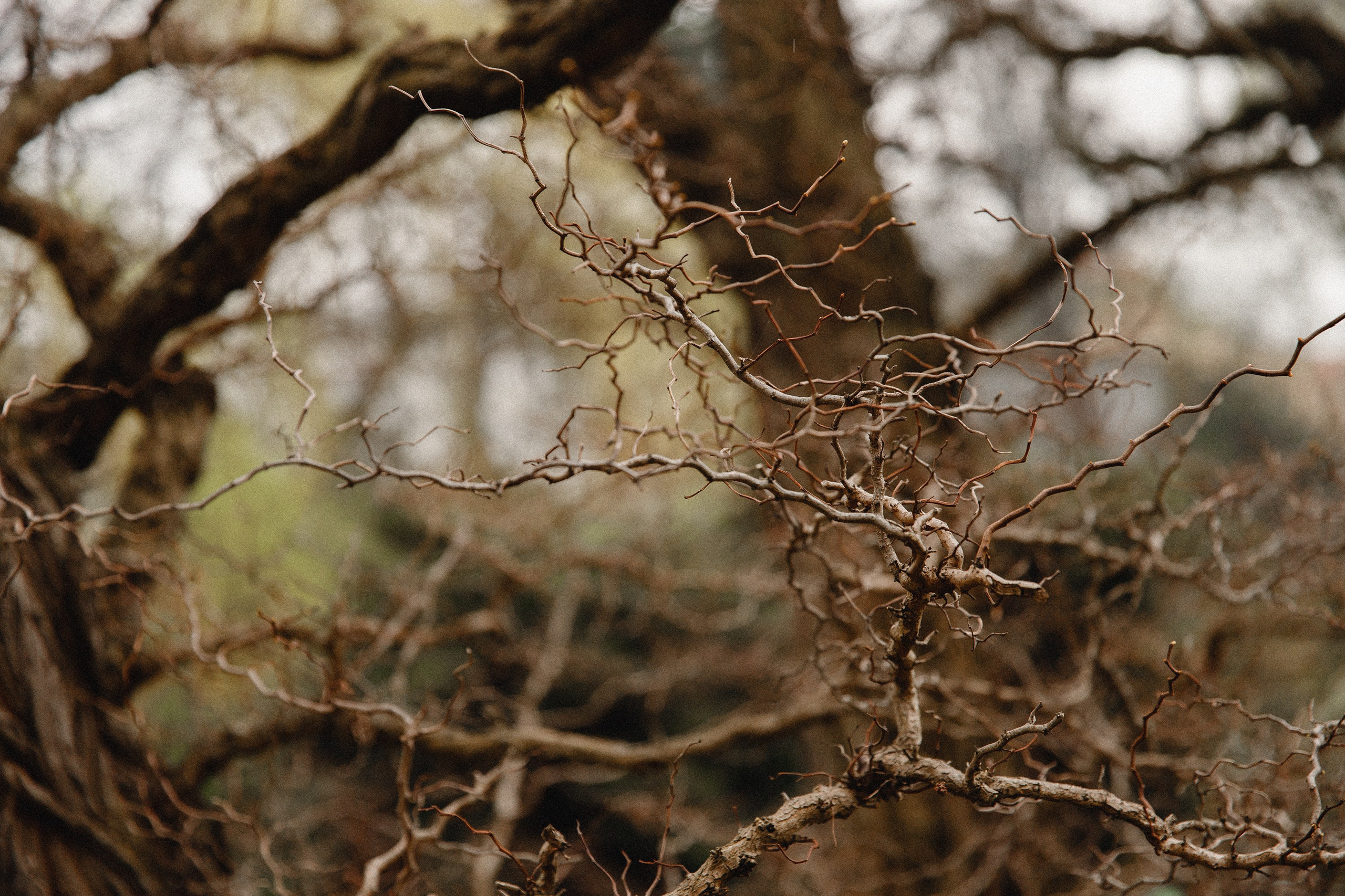 Botanical garden in Wroclaw. Kaja | fotograf we Wrocławiu | ludzie i psy