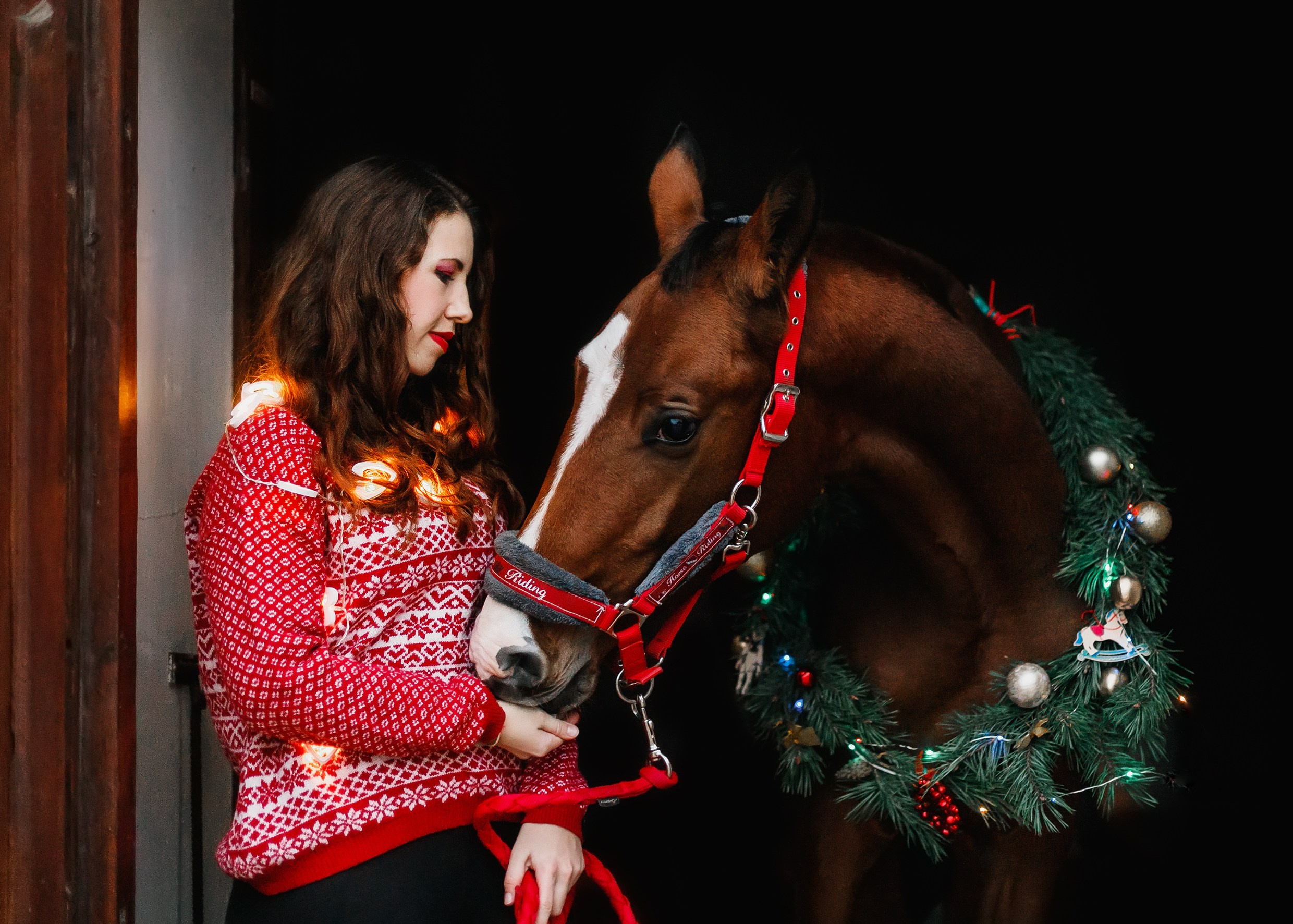 Aibike | winter. Kaja | fotograf psów we Wrocławiu