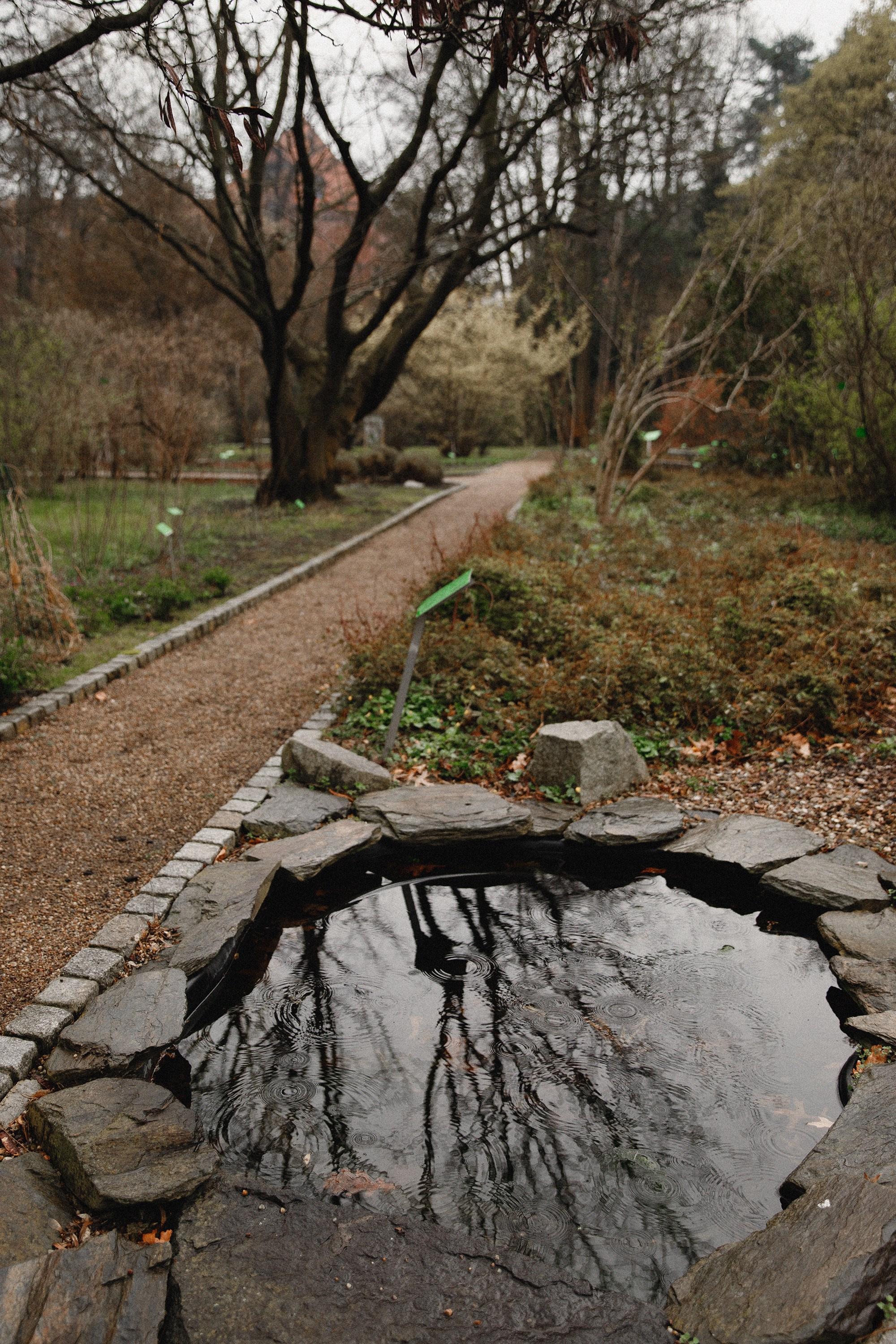 Botanical garden in Wroclaw. Kaja | fotograf we Wrocławiu | ludzie i psy
