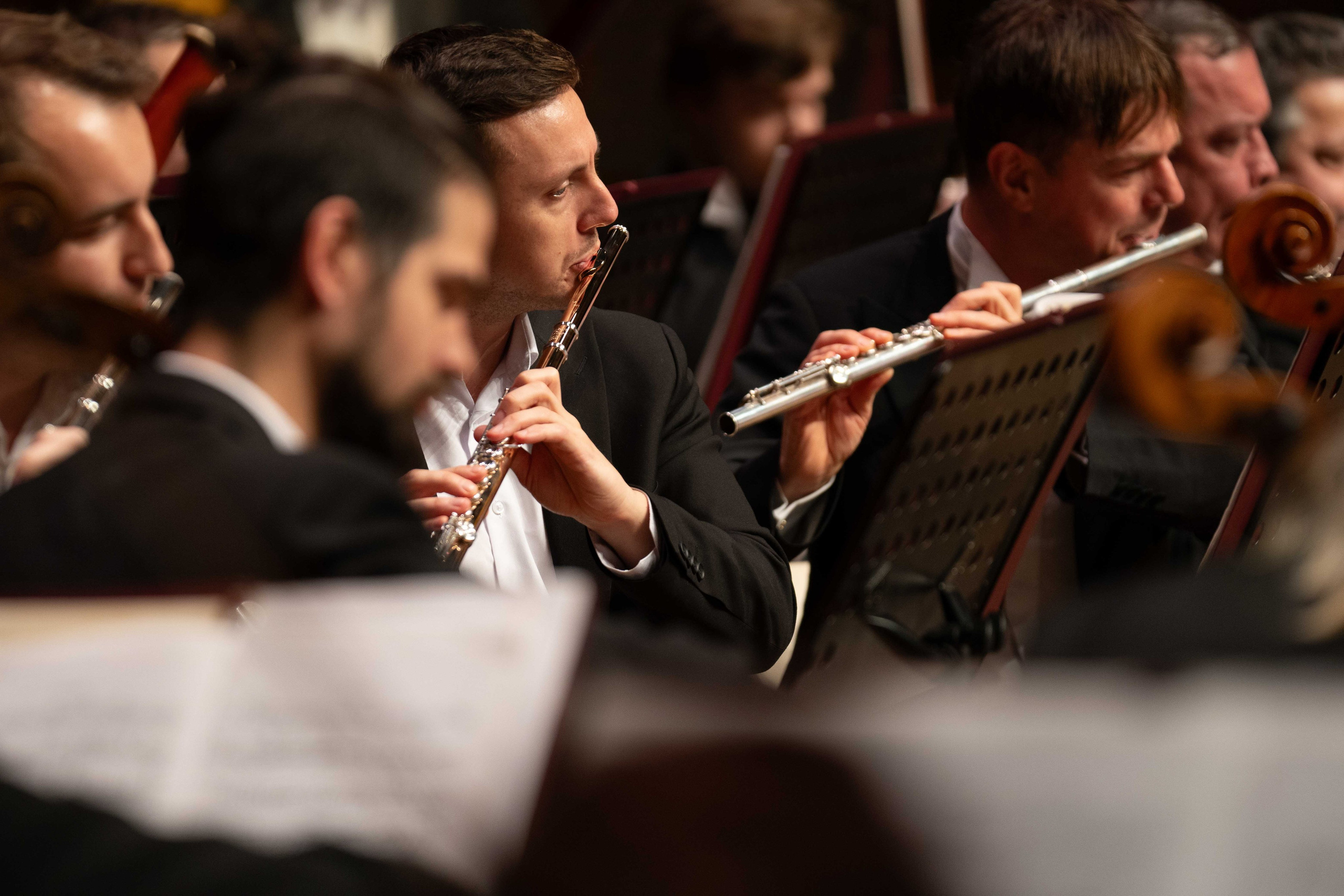 The Tchaikovsky Academic Grand Symphony Orchestra in Baku. Wedding&Event photographer Ismail Rzayev in Baku