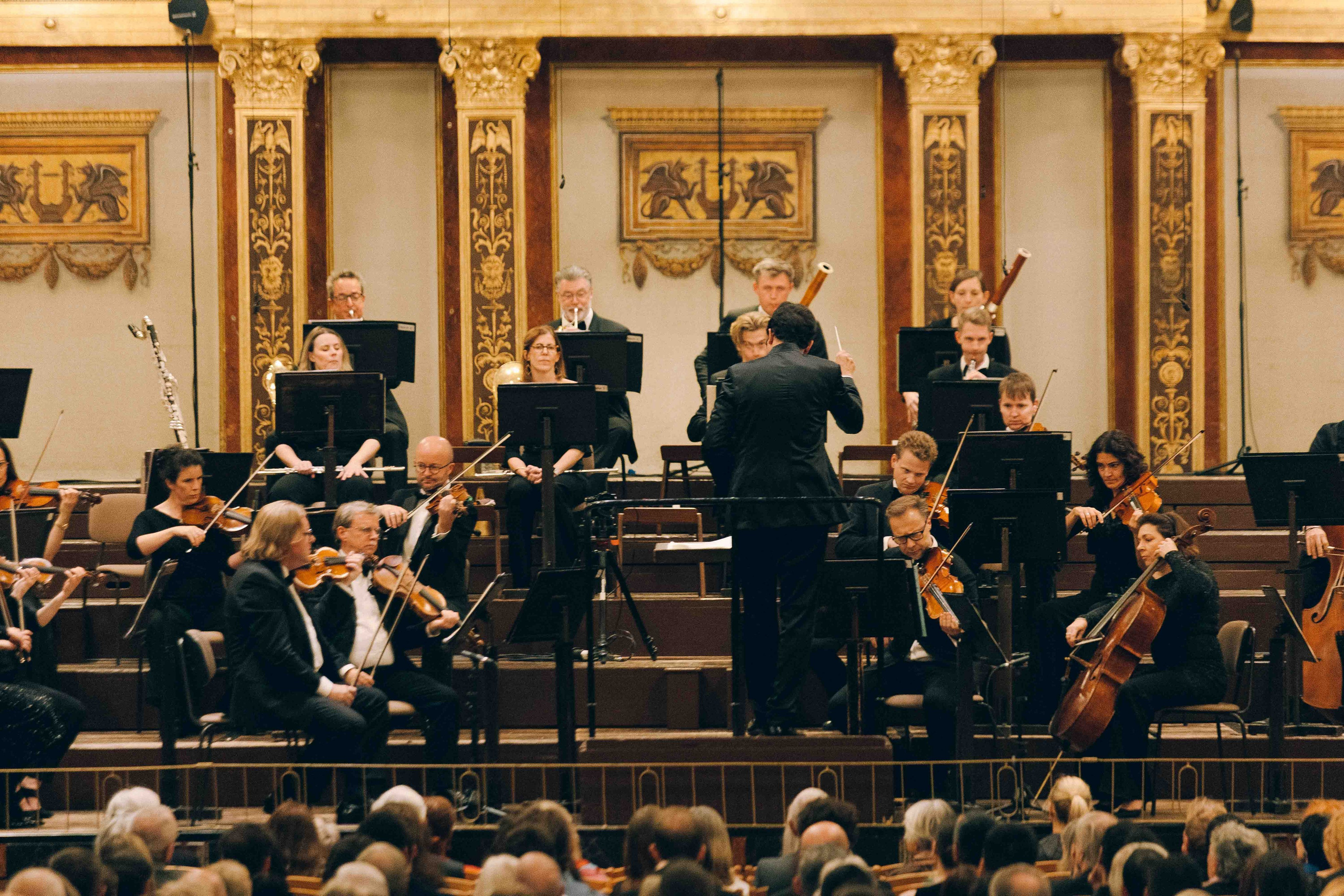 MUSIKVEREIN (VIENNA). Wedding&Event photographer Ismail Rzayev in Baku