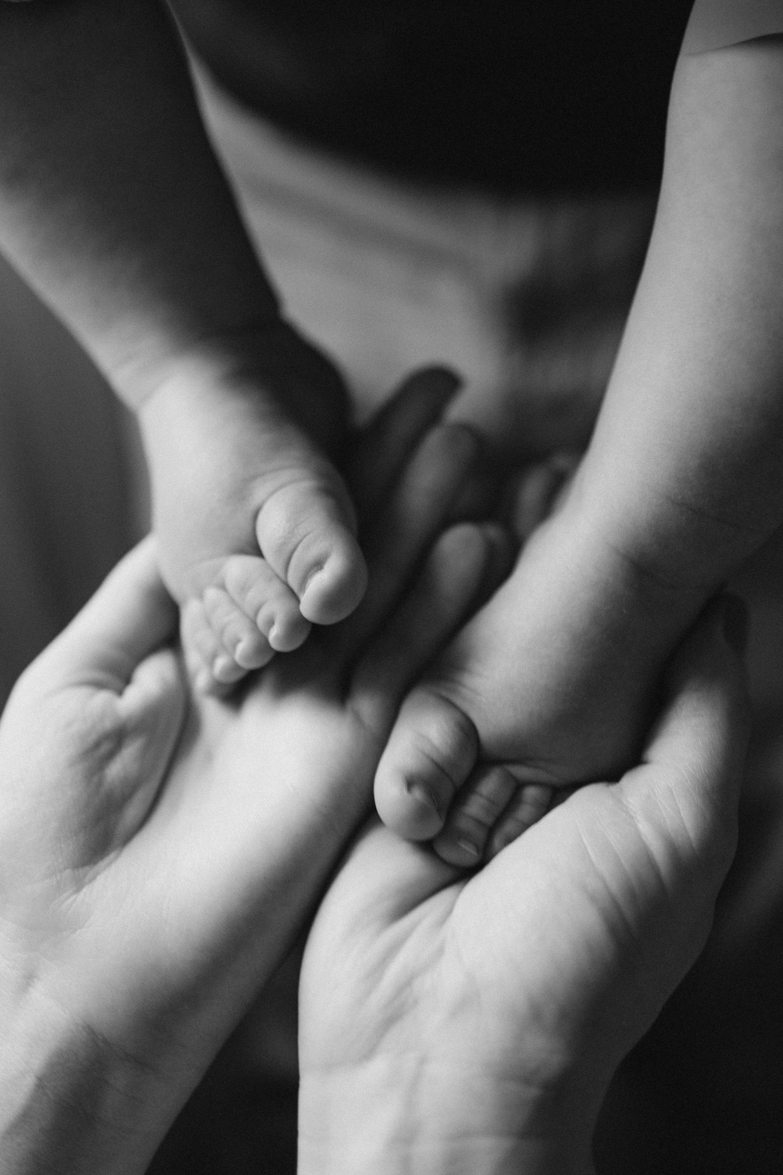 DITAS ģimene. GALVENĀ