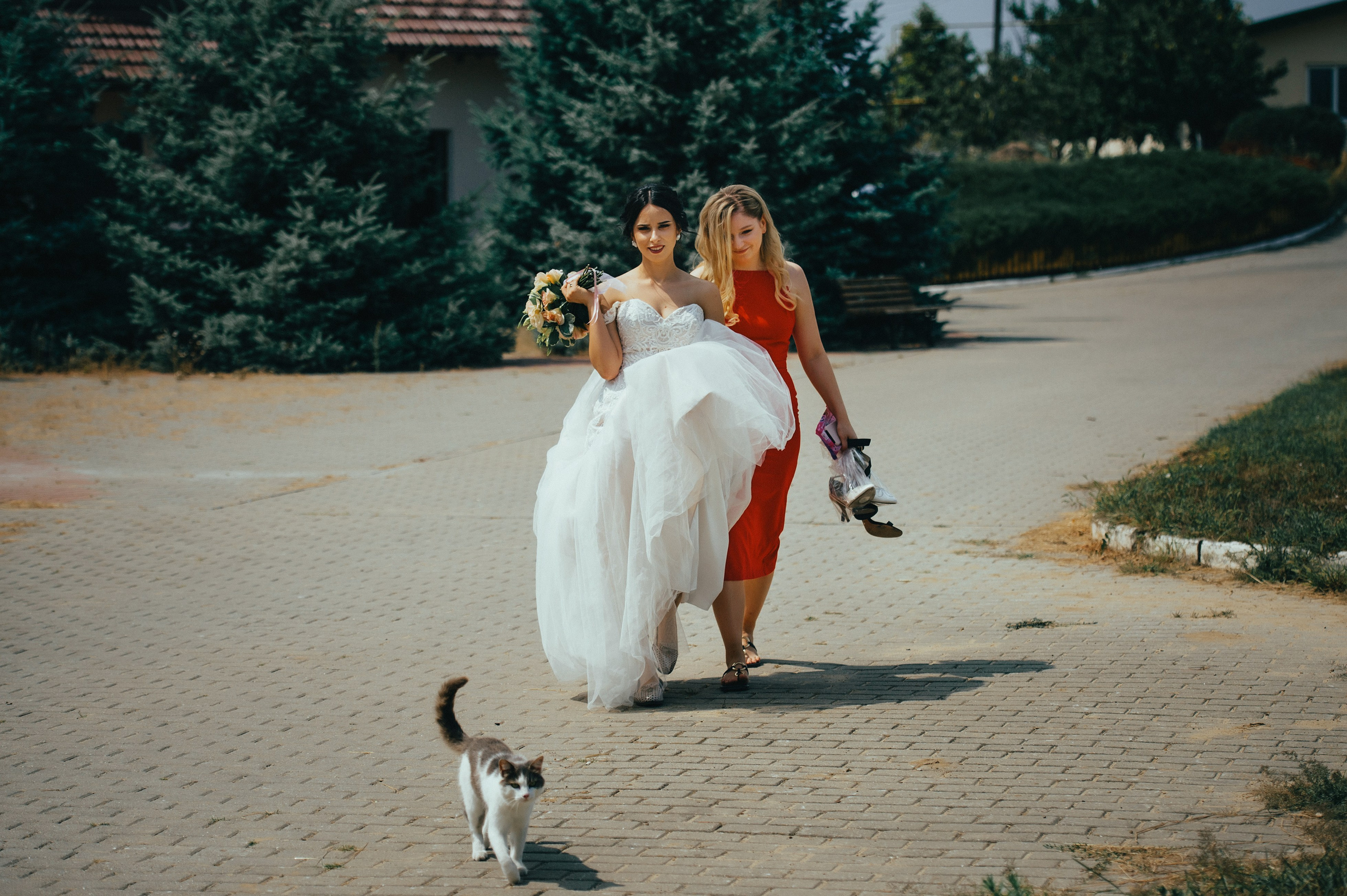 Cristina & Vadim. Fotograf de familie și evenimente