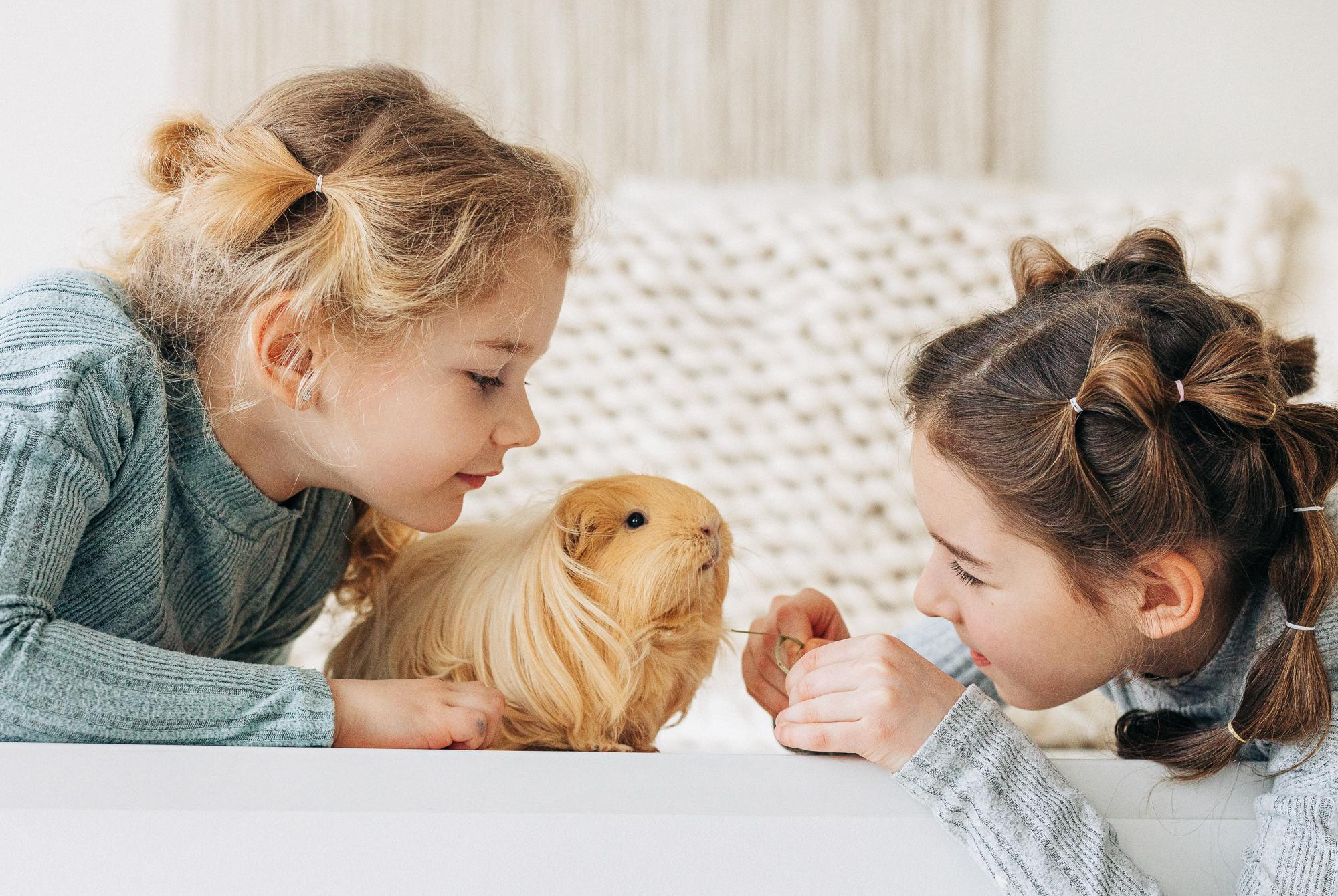 Семейная фотосессия с домашним любимцем. Family photoshoot