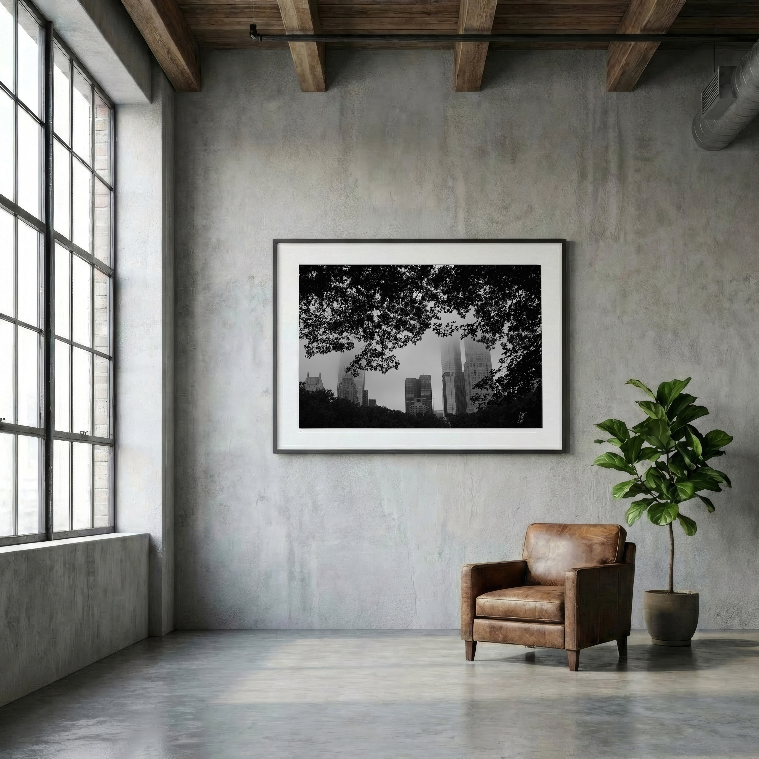 NYC, Central Park, 2025. Fuad Shafiyev