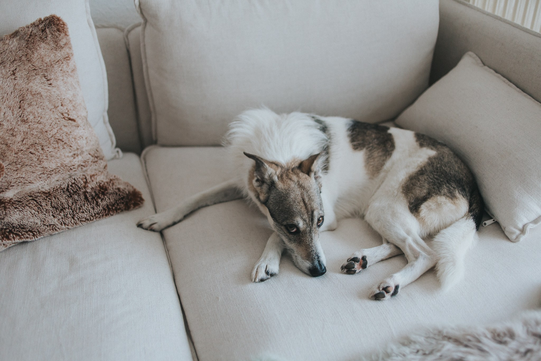 Pedro und Julia. Hochzeitsfotograf Hamburg