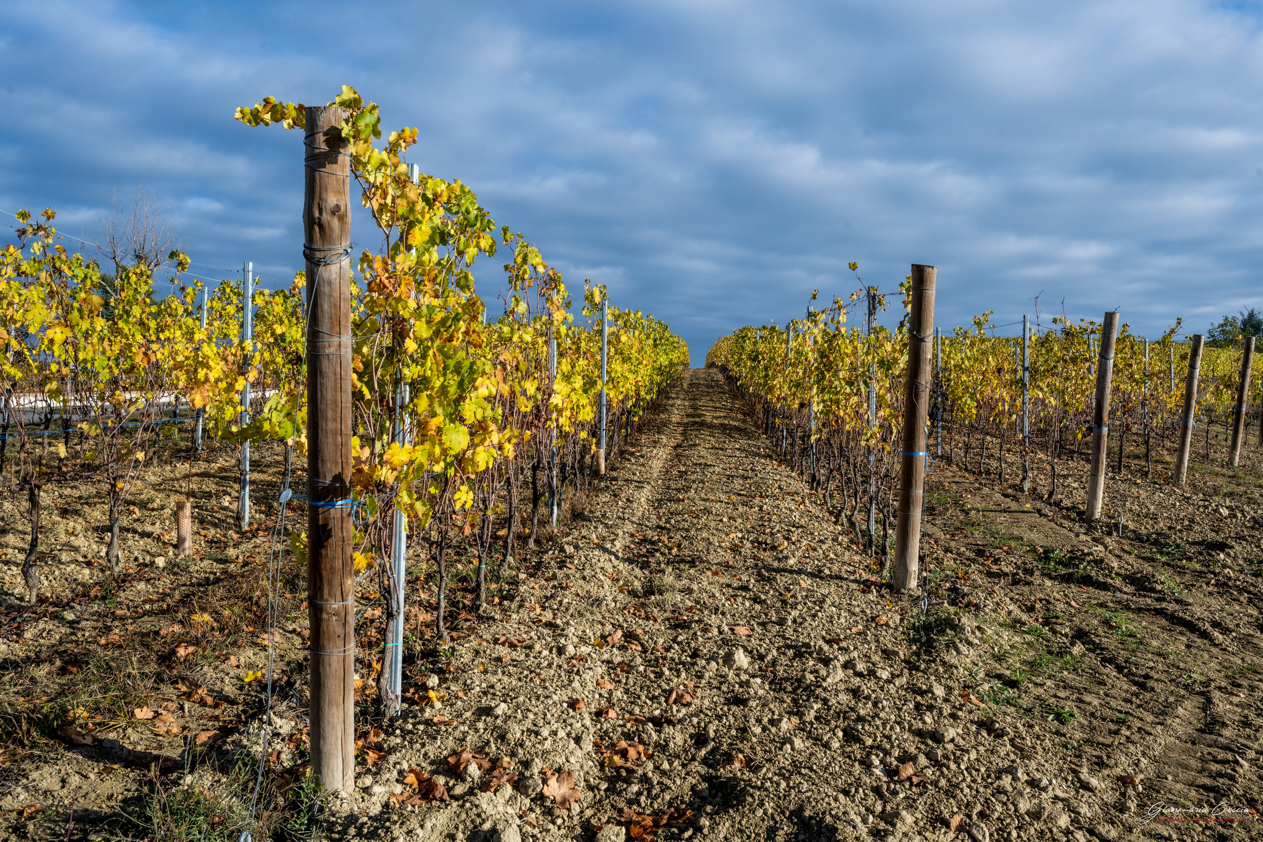 Langhe. “Gianmaria Coscia fotografo per passione”