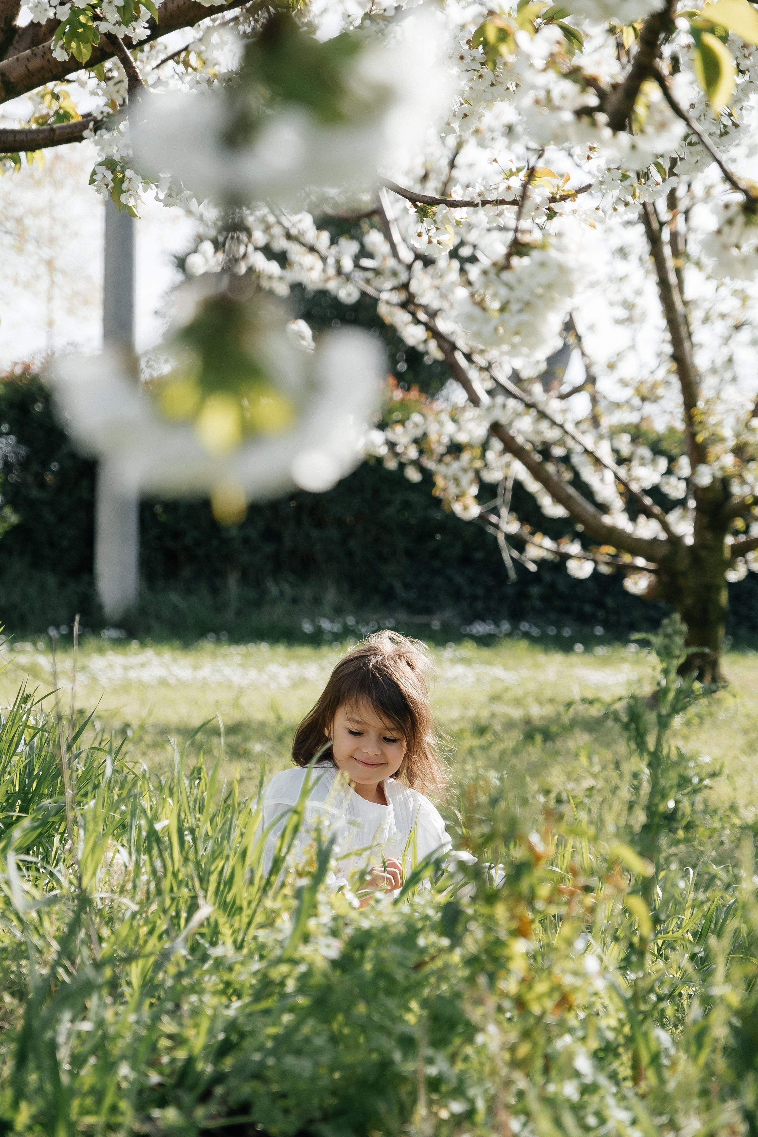 🌸🌸🌸. Fotografa Rimini