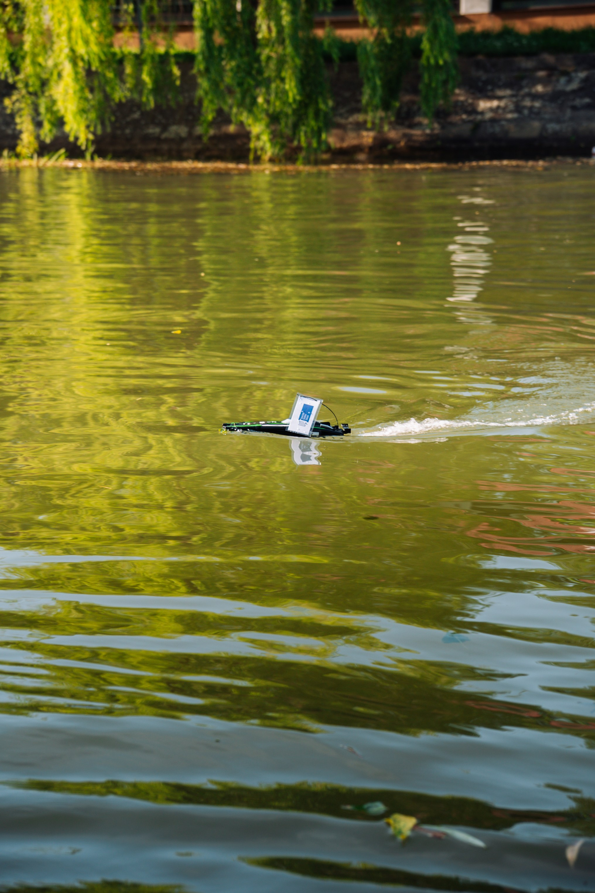 06.04 Bega Boat Race. Cozac Cristian Photographer