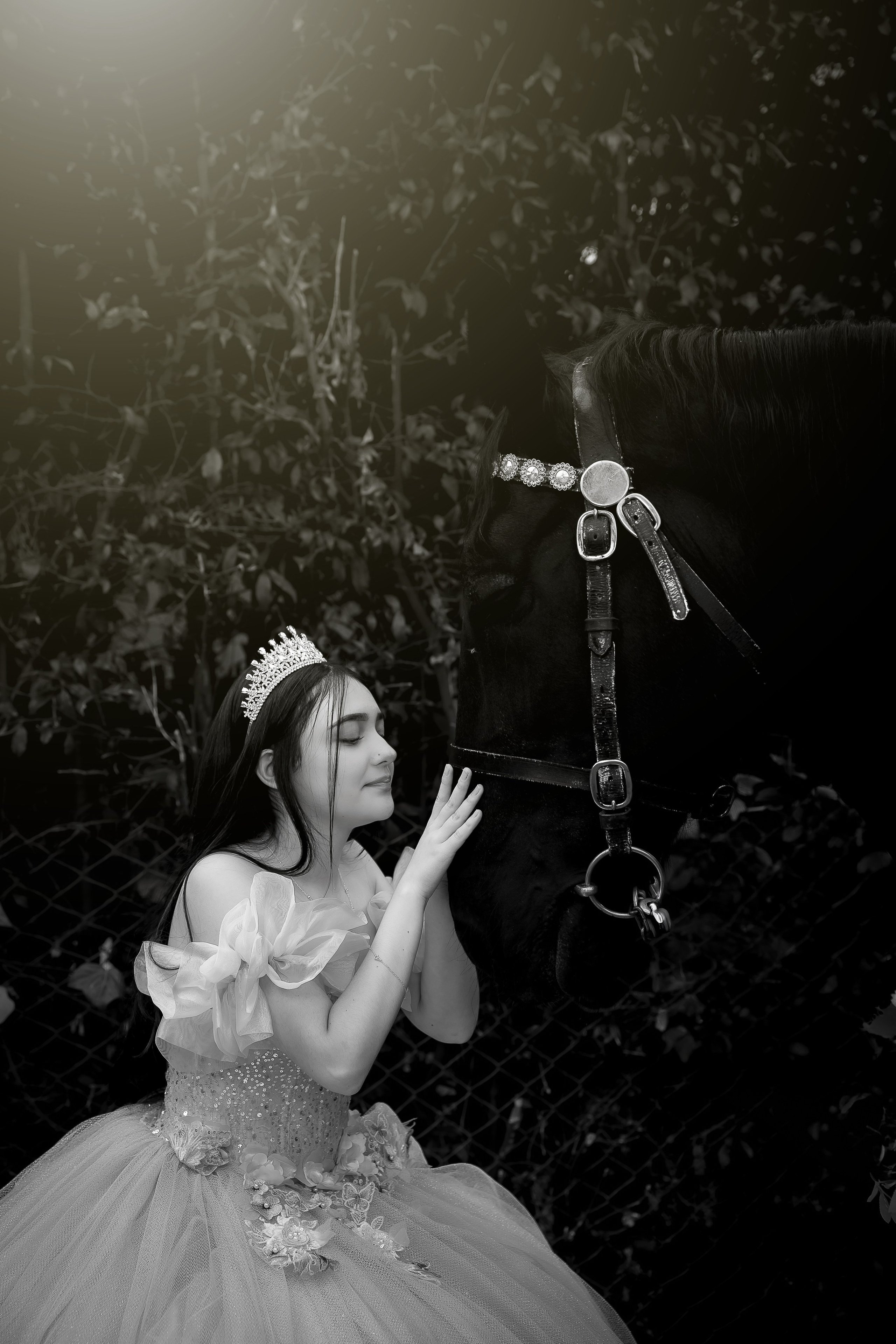 Laura. Harnol Lopez - Fotografia de Quinces & Bodas