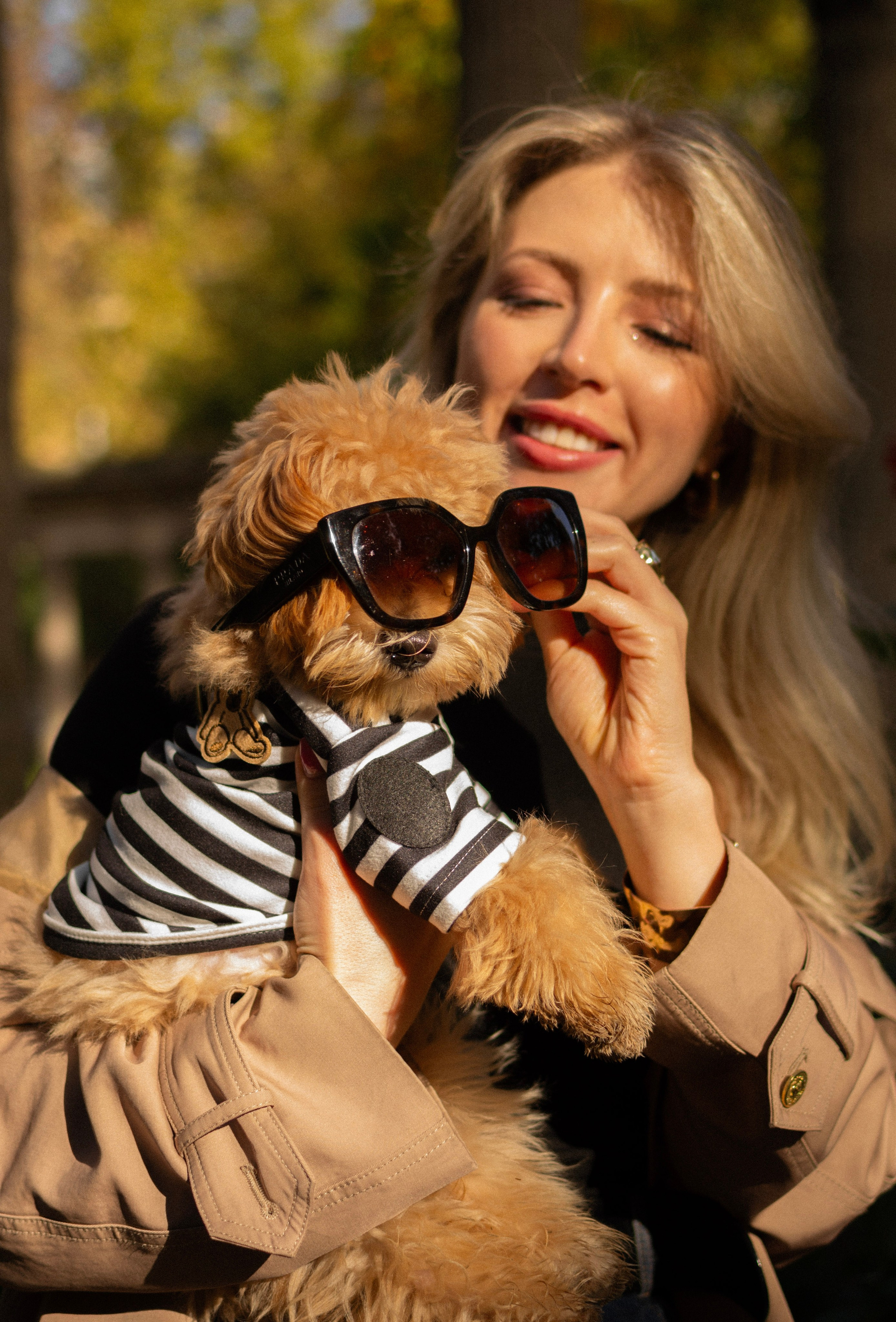 Barney, Nastya et Kolya. Photographe animalier à Paris Anna Pereira