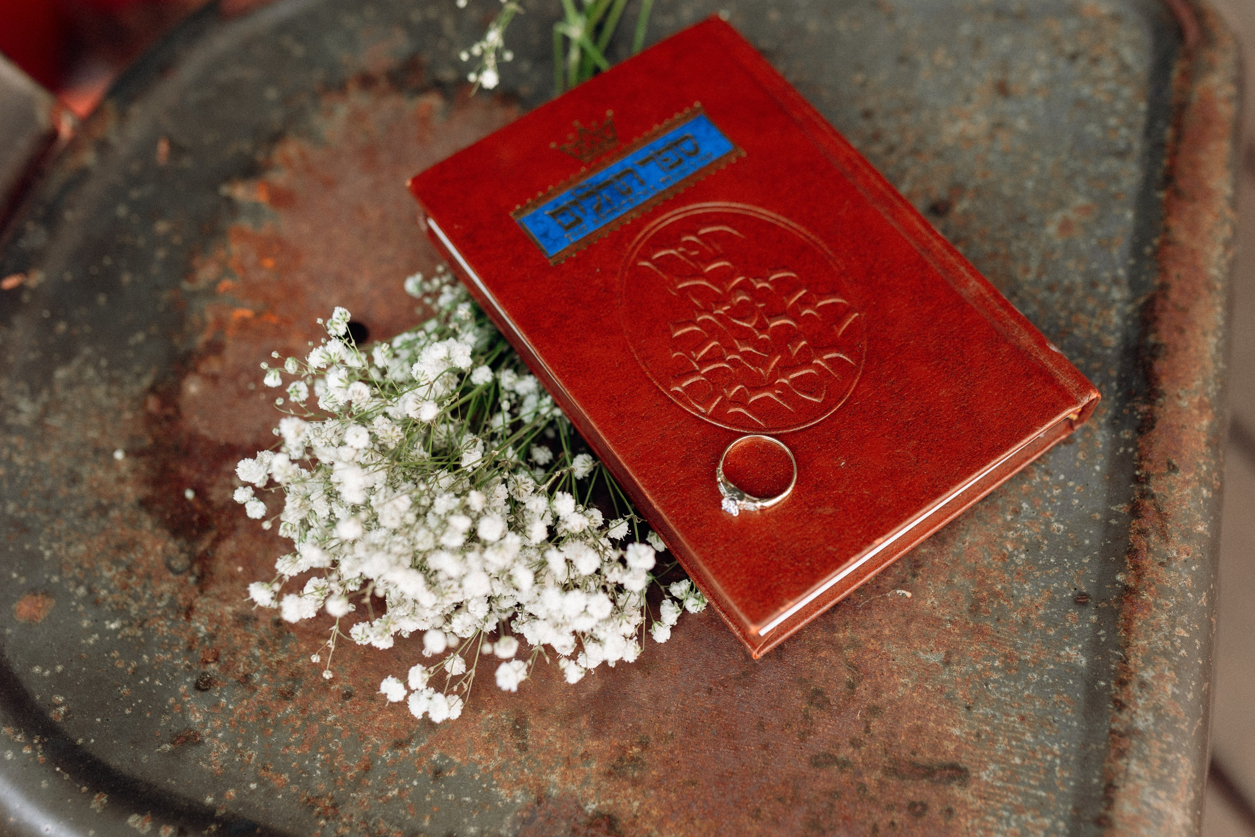 Dreams Came True. Https://shi-photo.com/