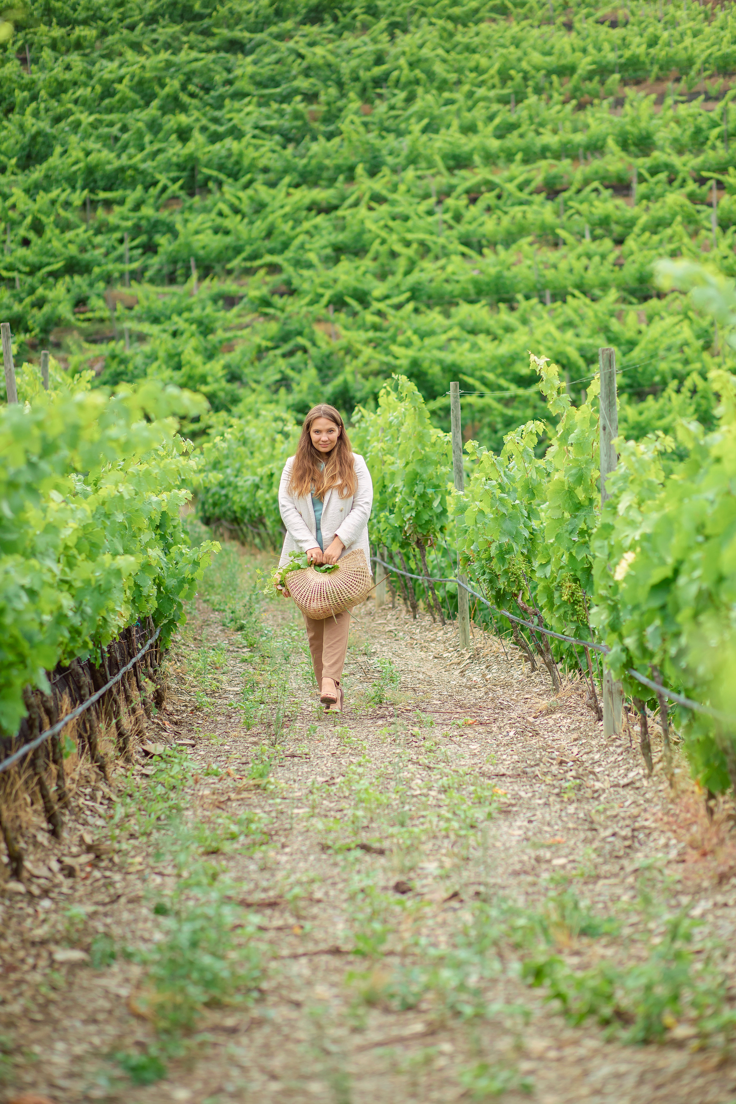 Bodega. Fotografa en España Salou Tarragona
