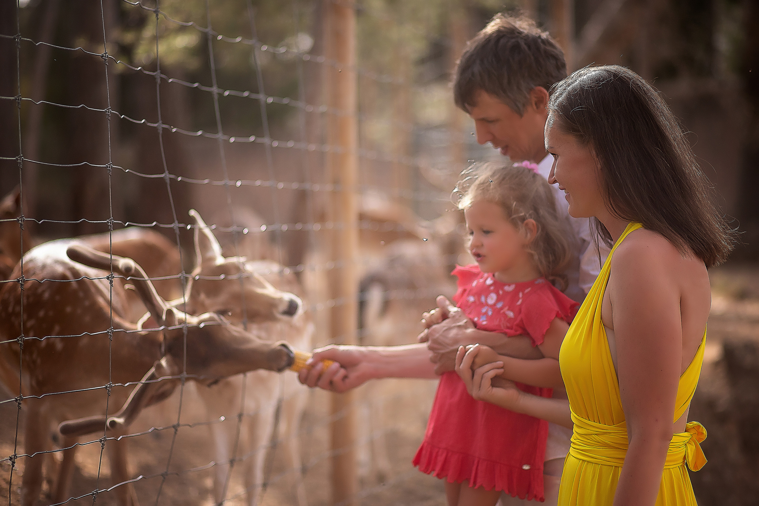 1. Фотограв в Испании Таррагоне