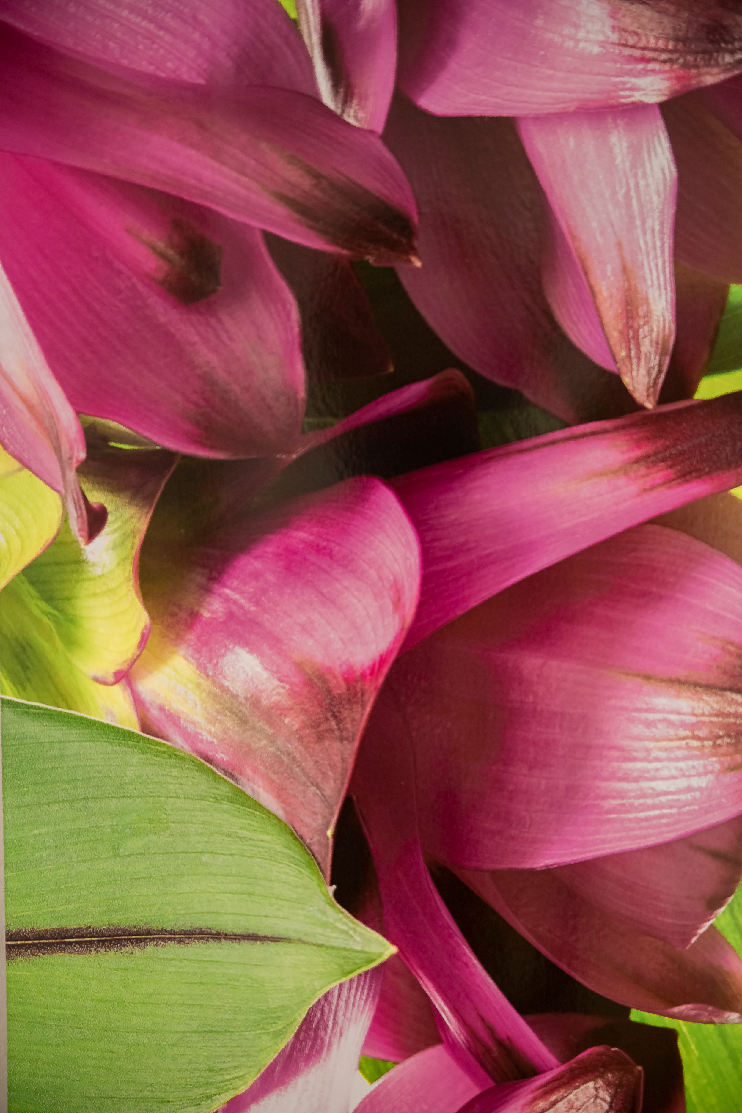 @re_estetic. Фотограв в Испании Таррагоне