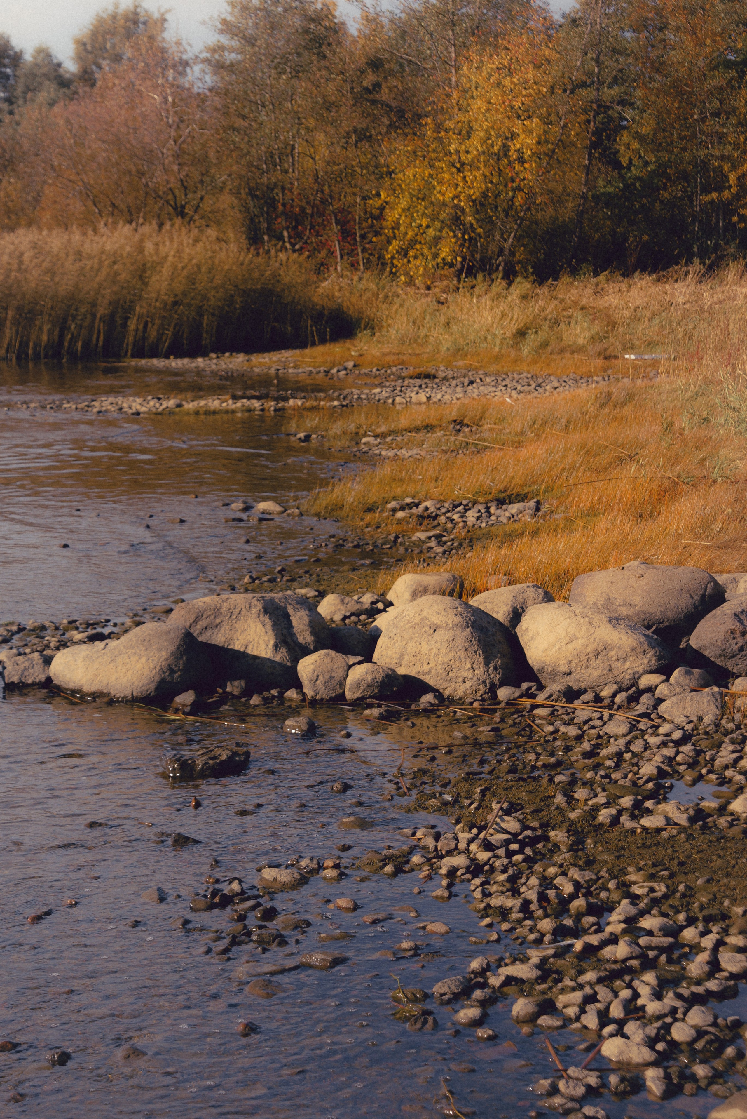 Пресеты. Фотограф Яна Болотова