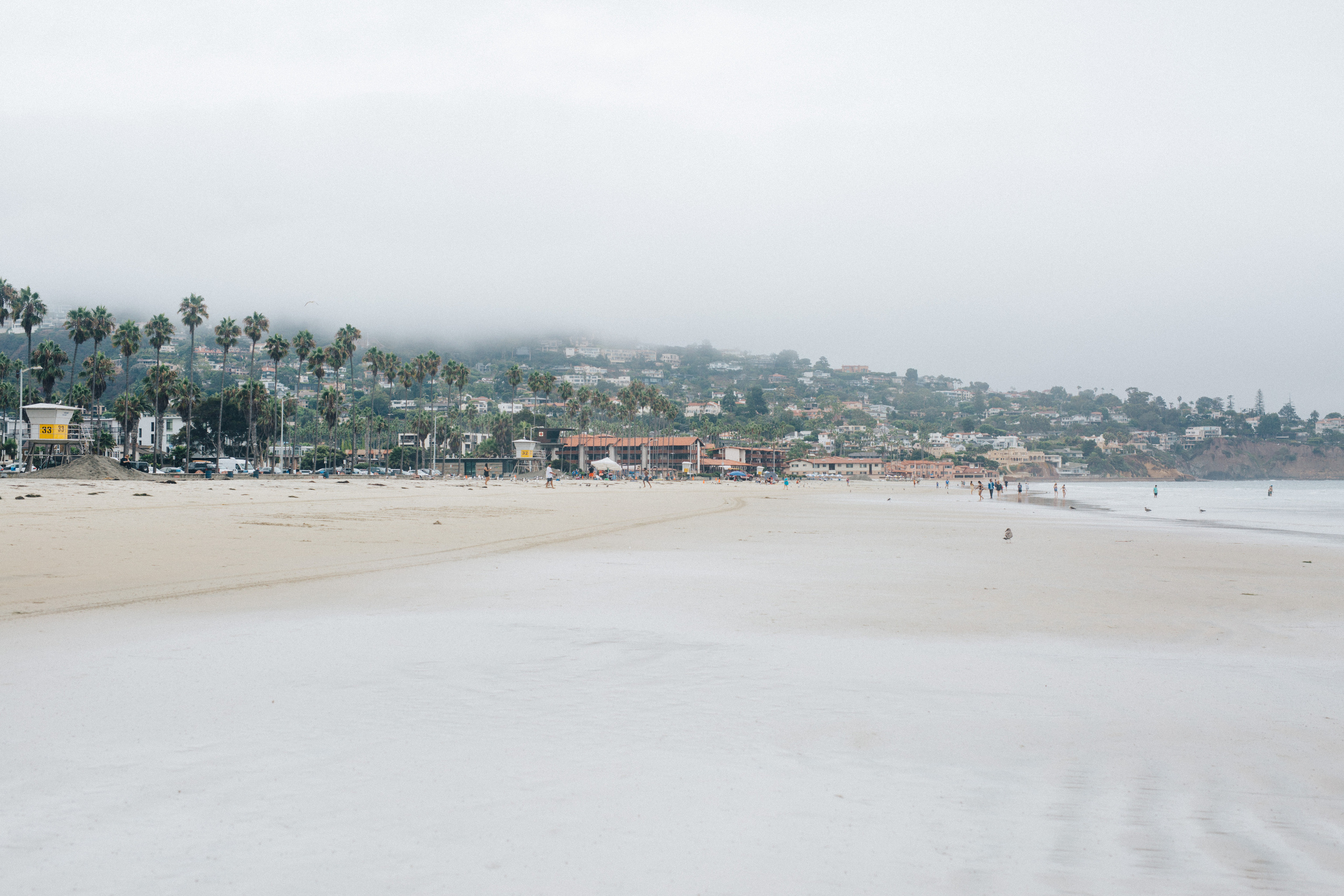 Sebastian&Madison. Wedding photography in San Diego