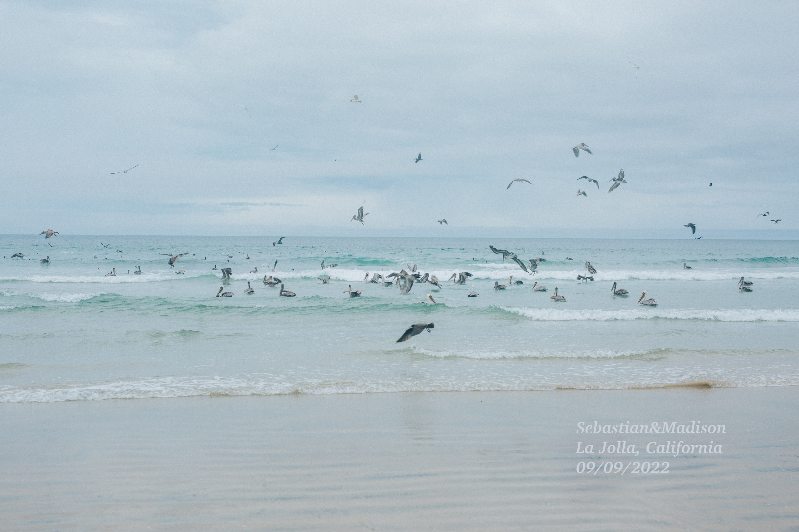 Sebastian&Madison. Wedding photography in San Diego