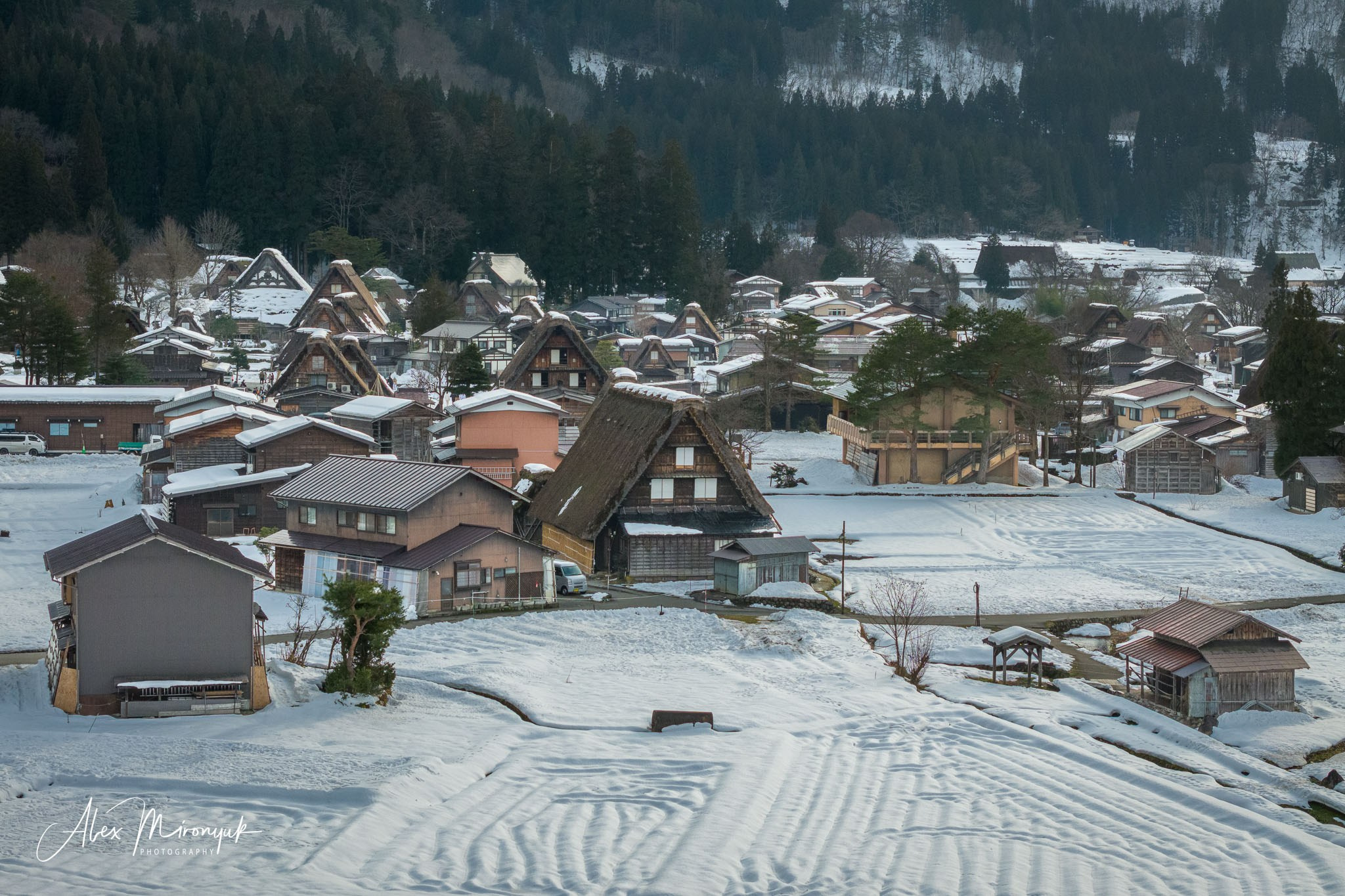 Winter Japan: Snow Monkeys, Castles & Timeless Villages. Pet, Senior, Landscape, portrait studio, photographer in Miami and Sou