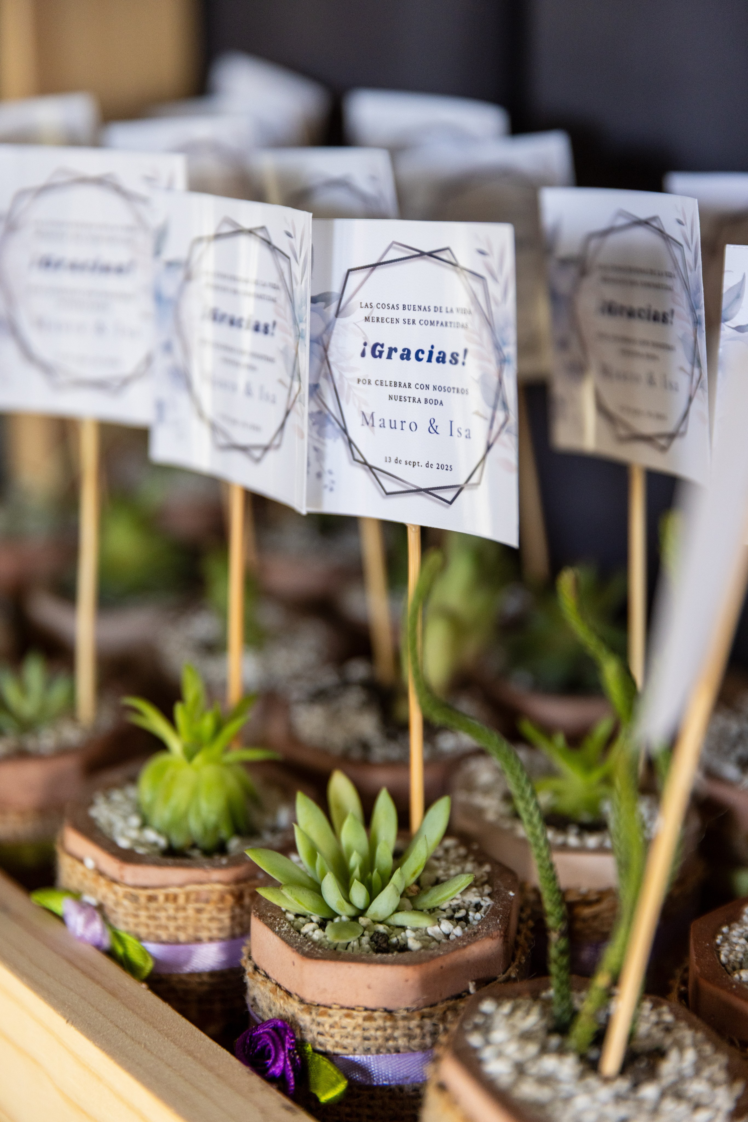 Isamar y Mauro. Dinka & Emilio - El arte de preservar lo que no se repite