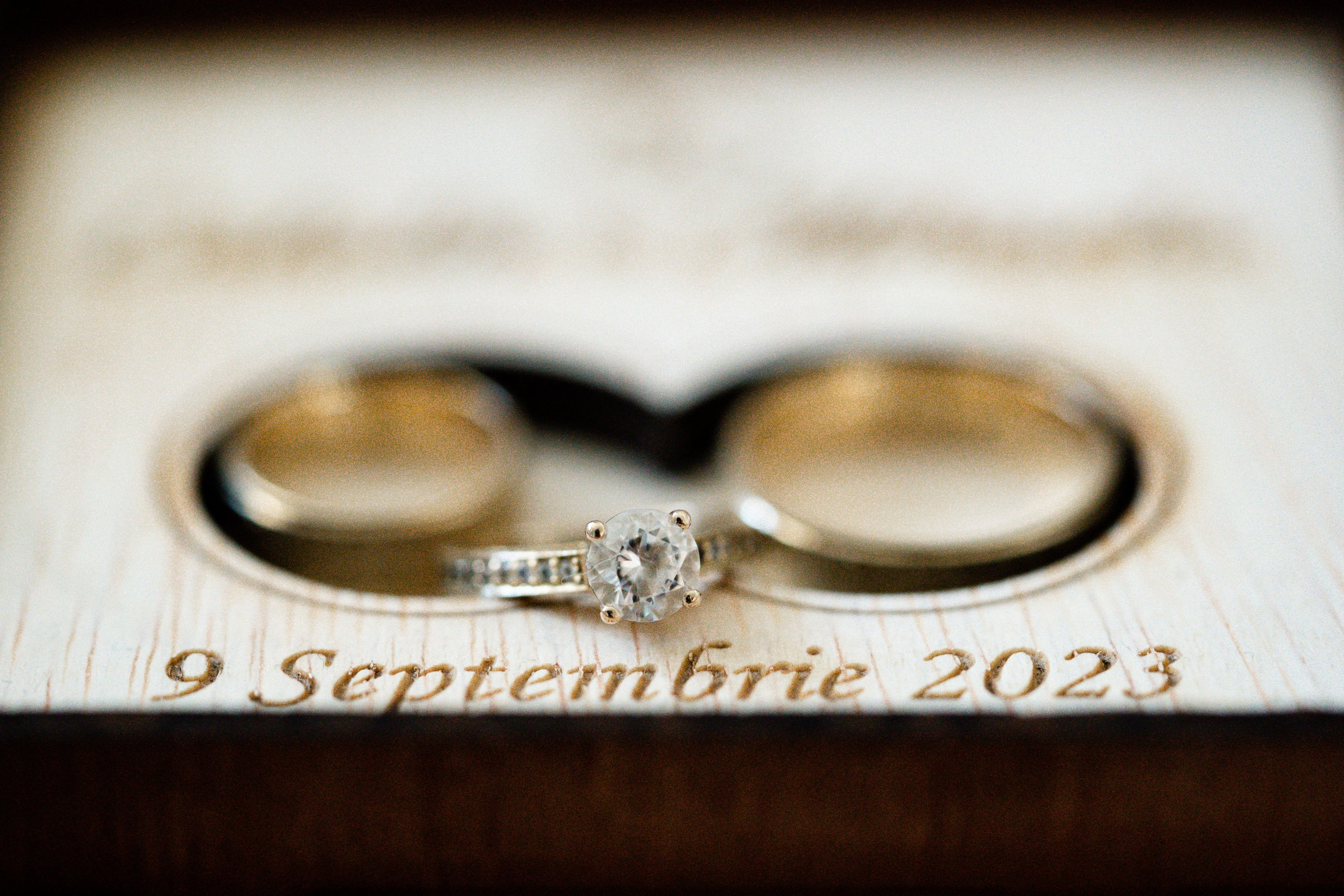 Mihaela & Catalin. Ionutdraganfoto.com