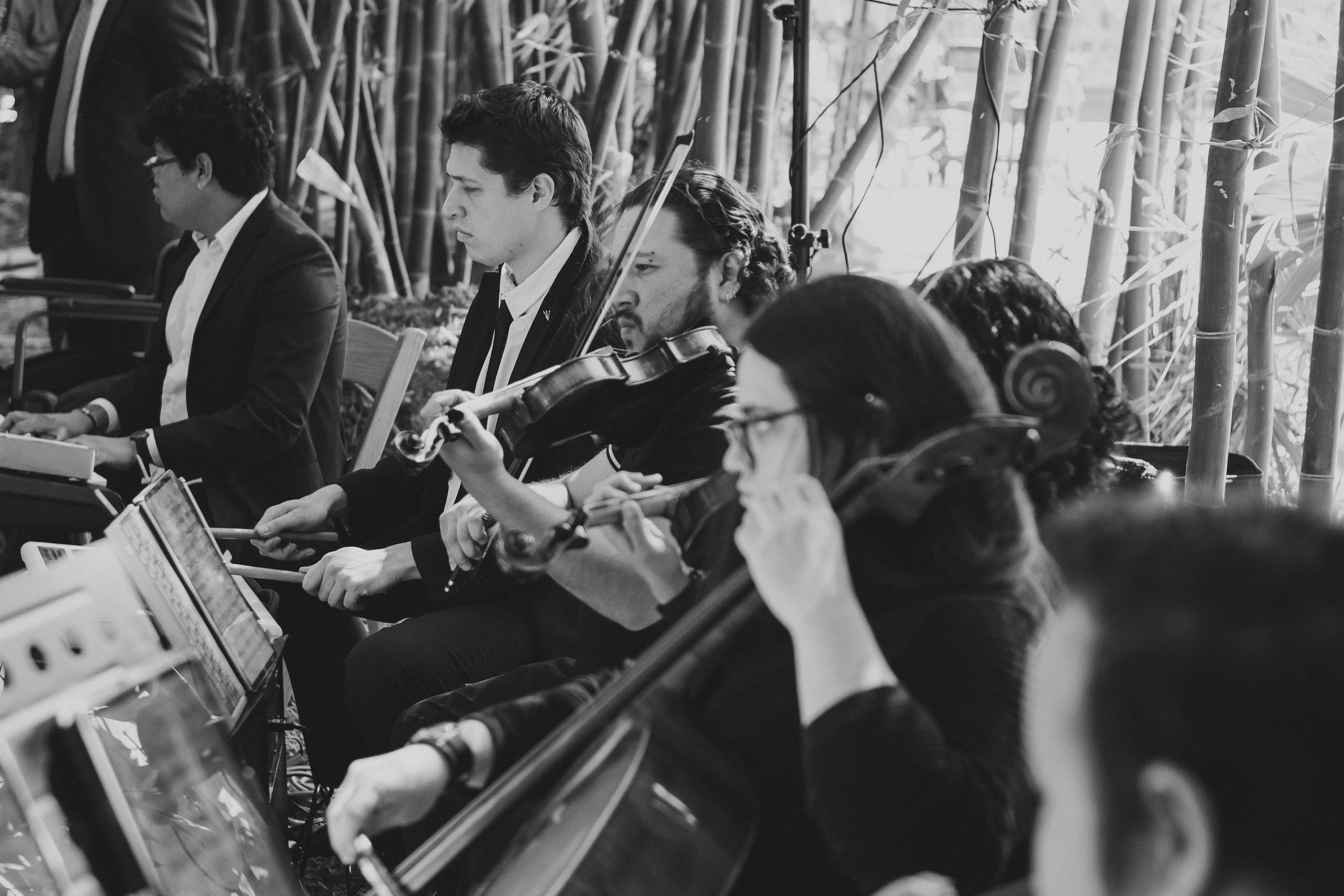 Gigi & Luis / Cuernavaca. Wedding and family photographer in Mexico City