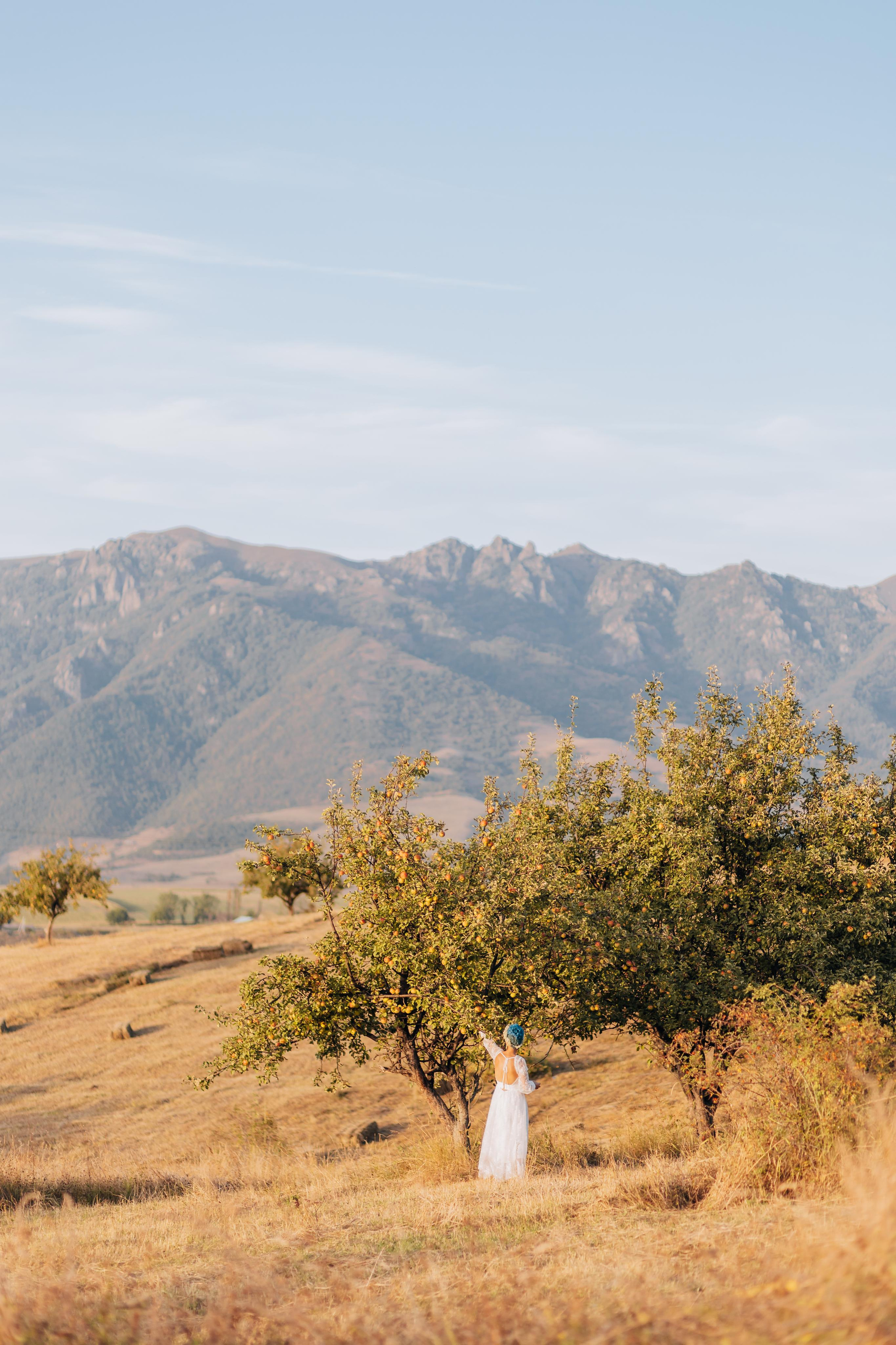 Լեո և Ռուզաննա. Taron Yesayan Wedding & Family photographer