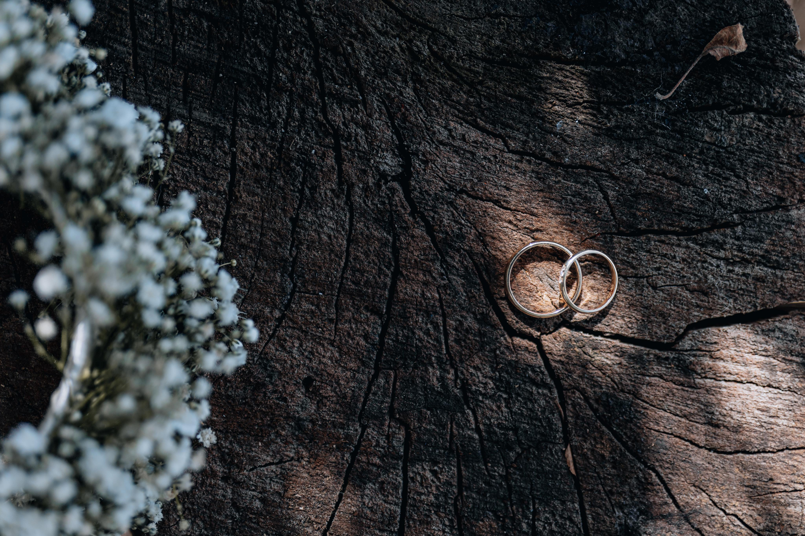 Լեո և Ռուզաննա. Taron Yesayan Wedding & Family photographer