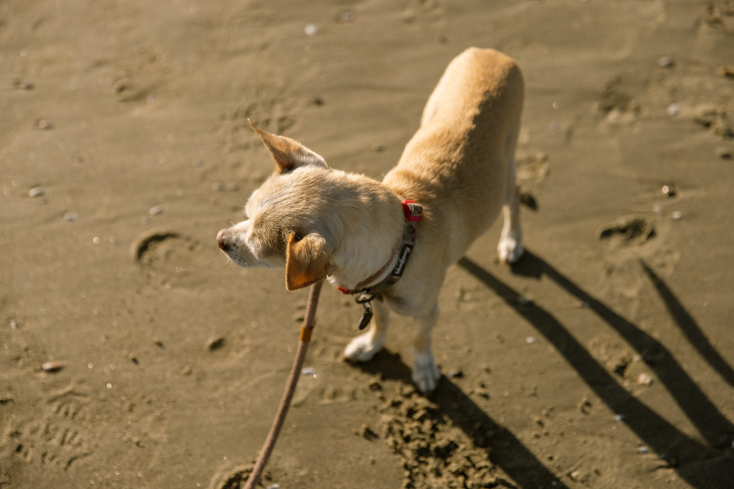 Testimonials. Photographer in Los Angeles. Julia Ishmuratova