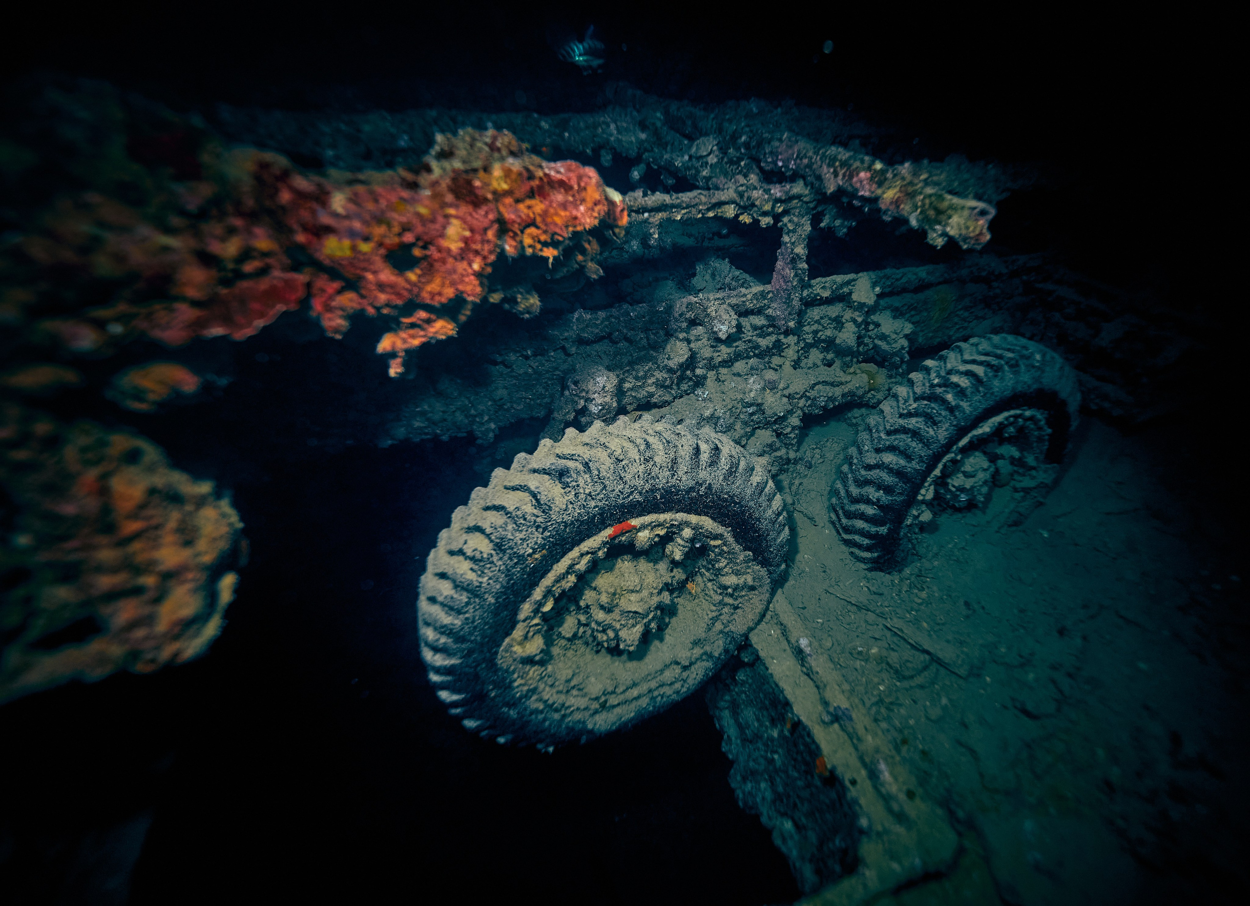 Underwater photographer Andriej Szypilow - photos of the mysterious SS Thistlegorm - sunken ship in the red sea