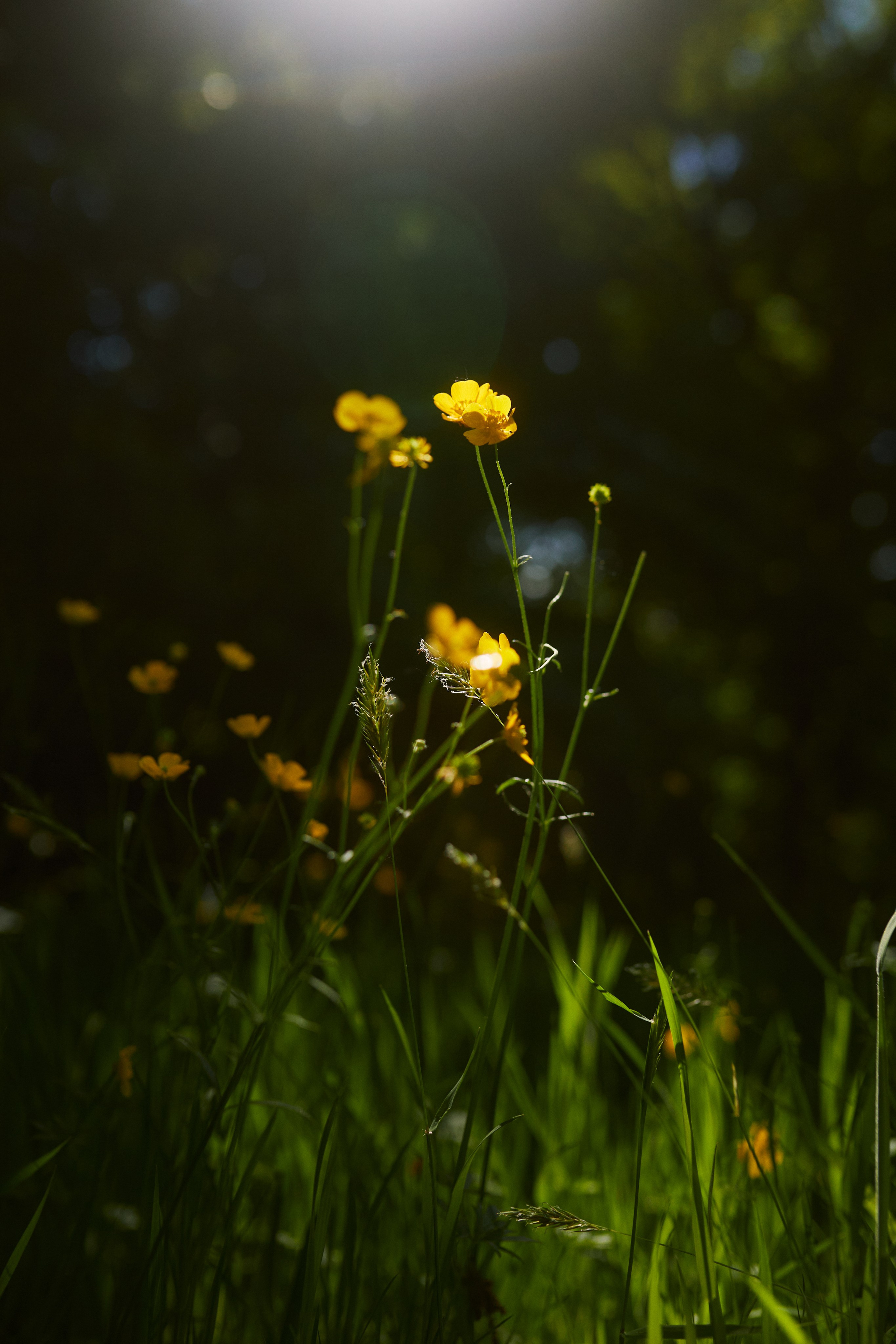 LIFE. Personal, fashion, business Photographer in Netherlands