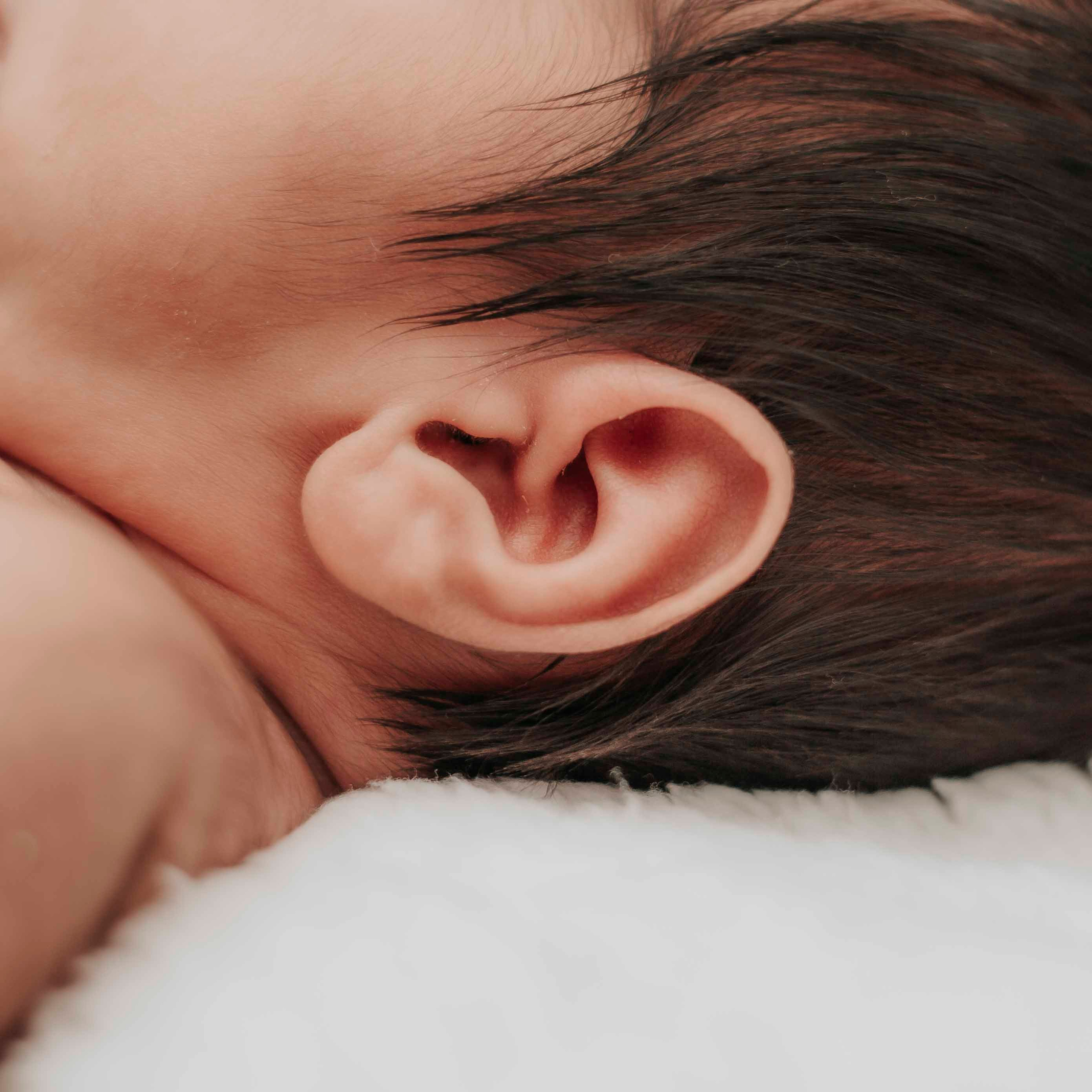 NEWBORN. Main