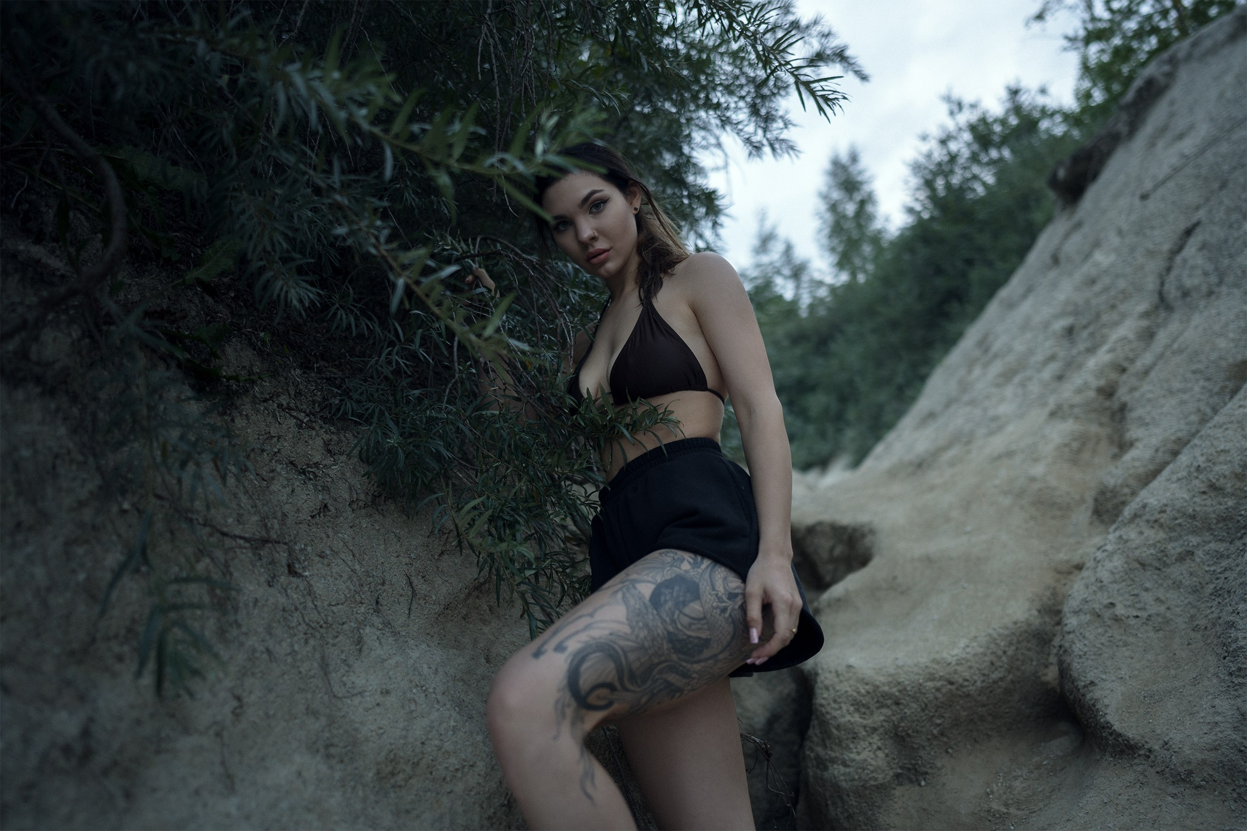 Vanessa