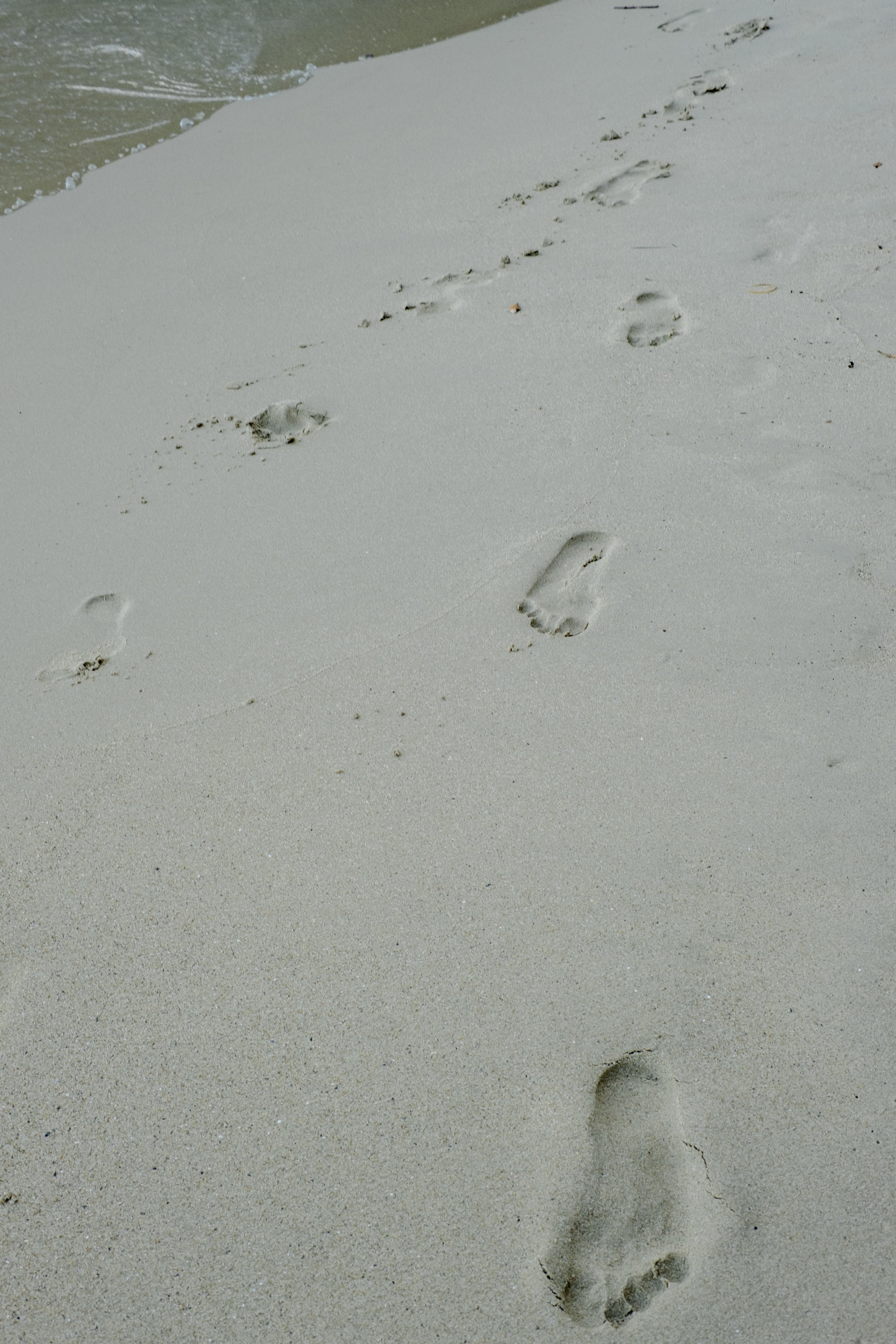 Marry me?. Grosu Photography