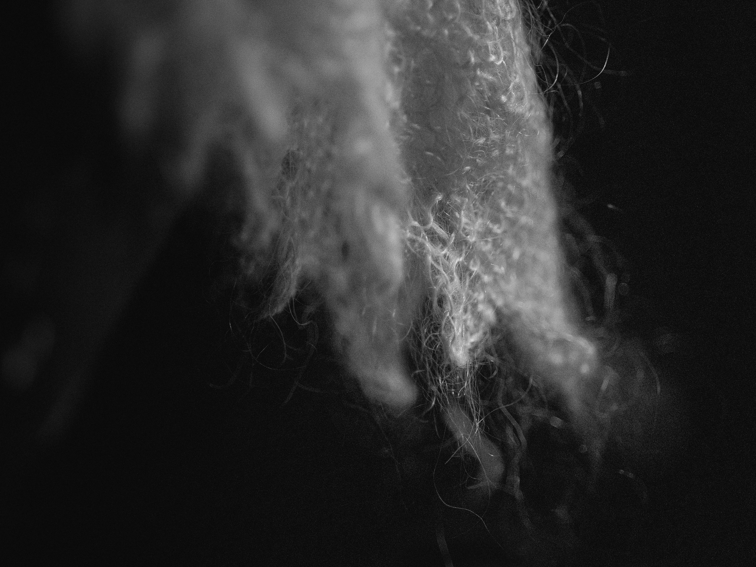 Chameleon — Reportage. Yana Bobrova | Artistic Photography