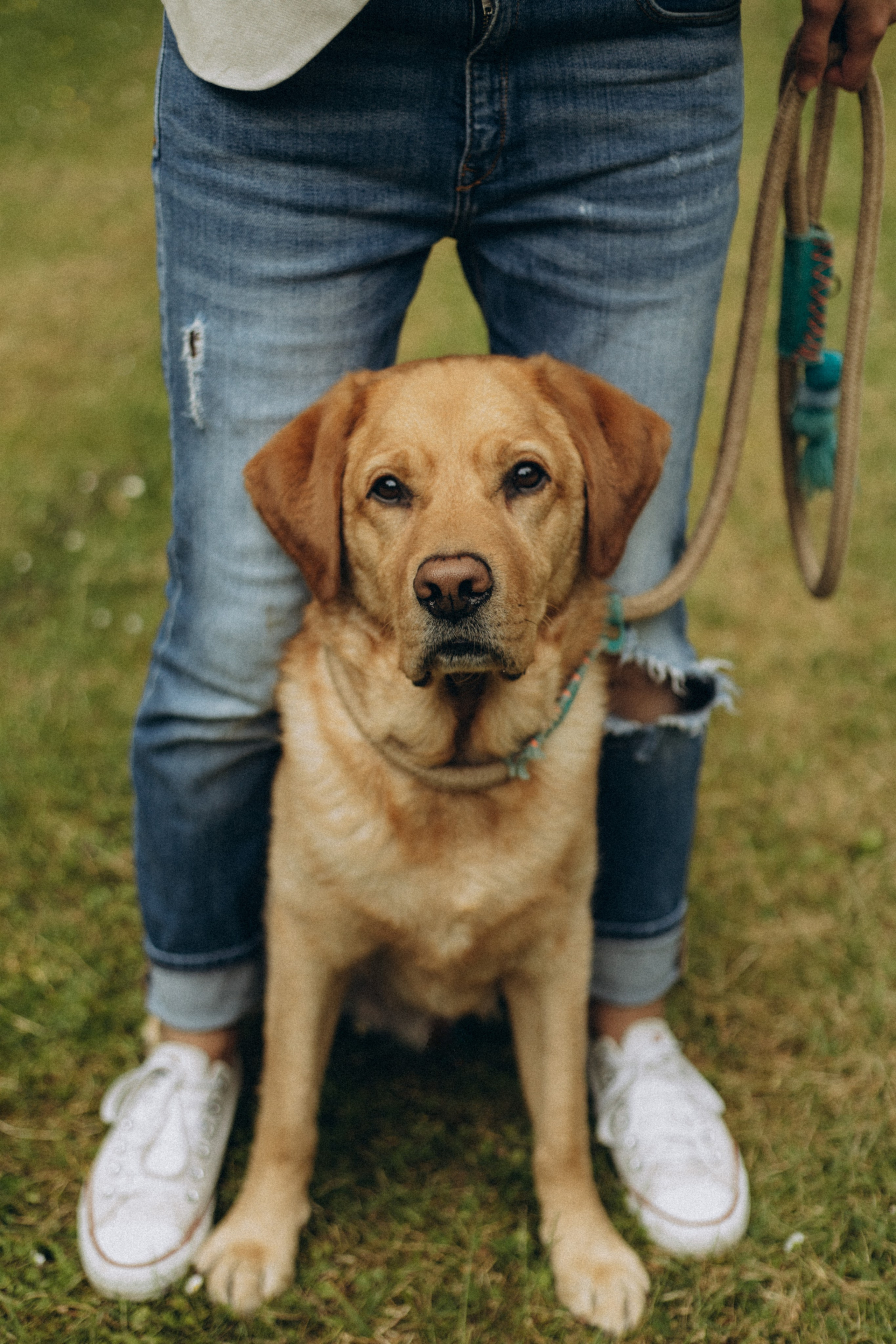 Tiere. Fotograf Düsseldorf, Köln, NRW - Kristina Braudo